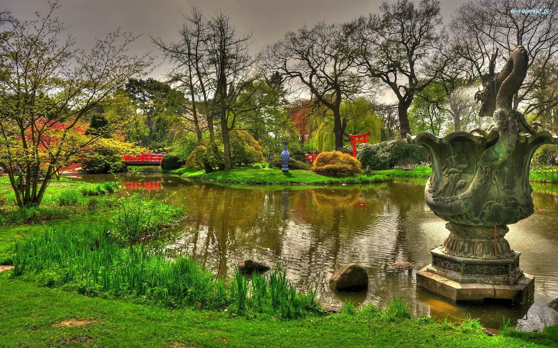 Staw, Ogród, Piękny