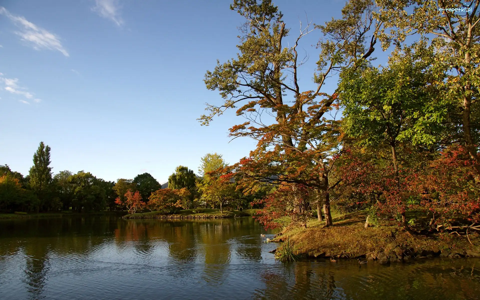 Park, Japonia, Nakajima, Jezioro