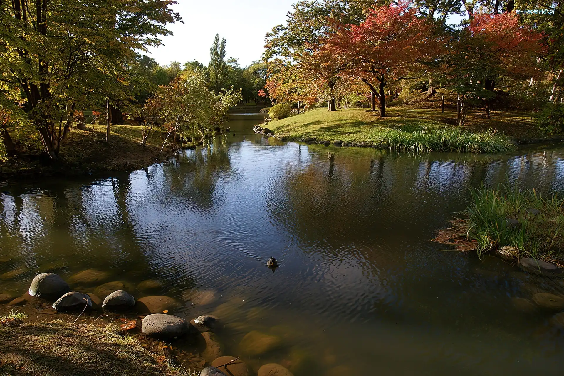 Park, Japonia, Nakajima, Jezioro