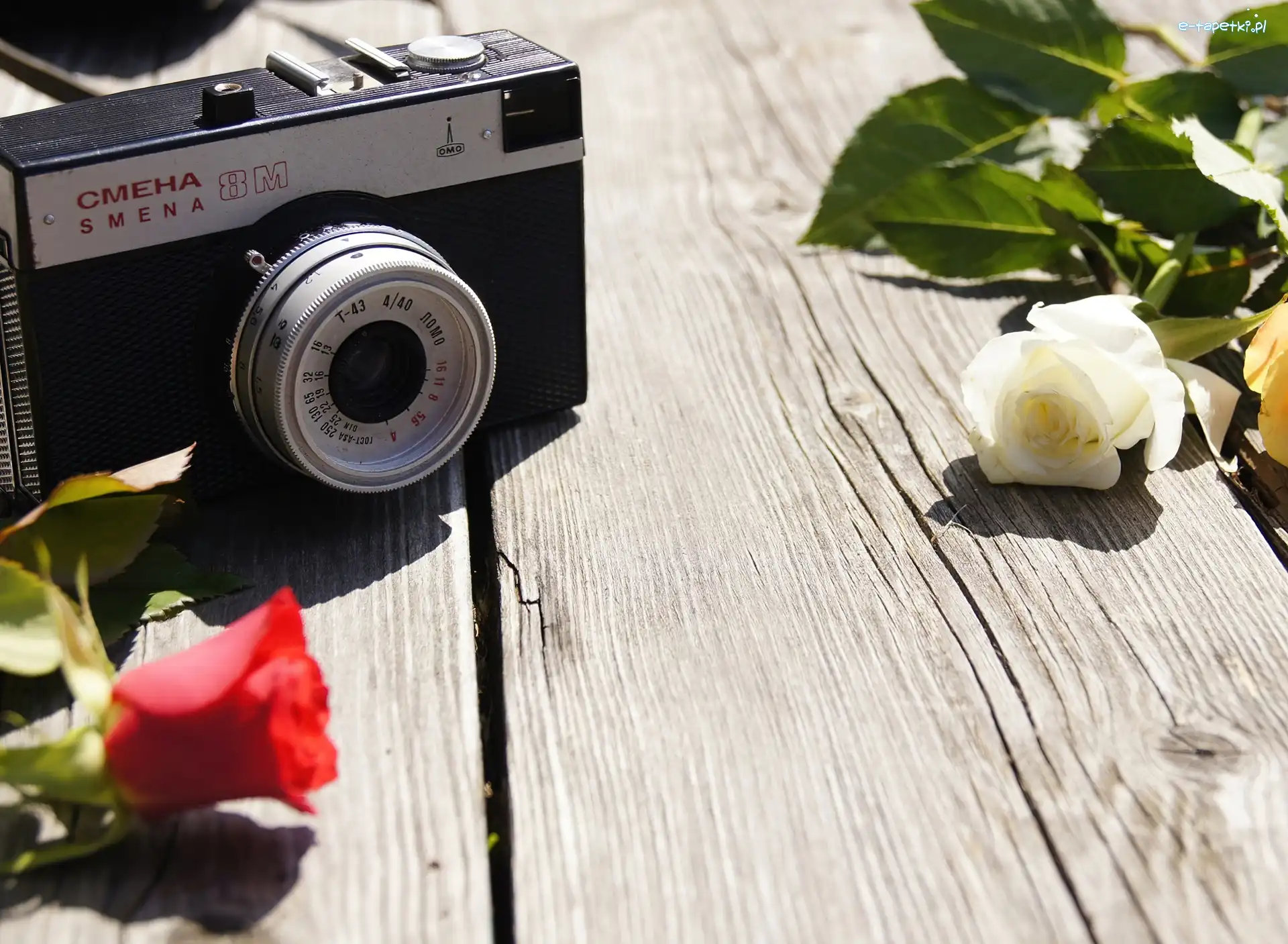 Róże, Fotograficzny, Aparat