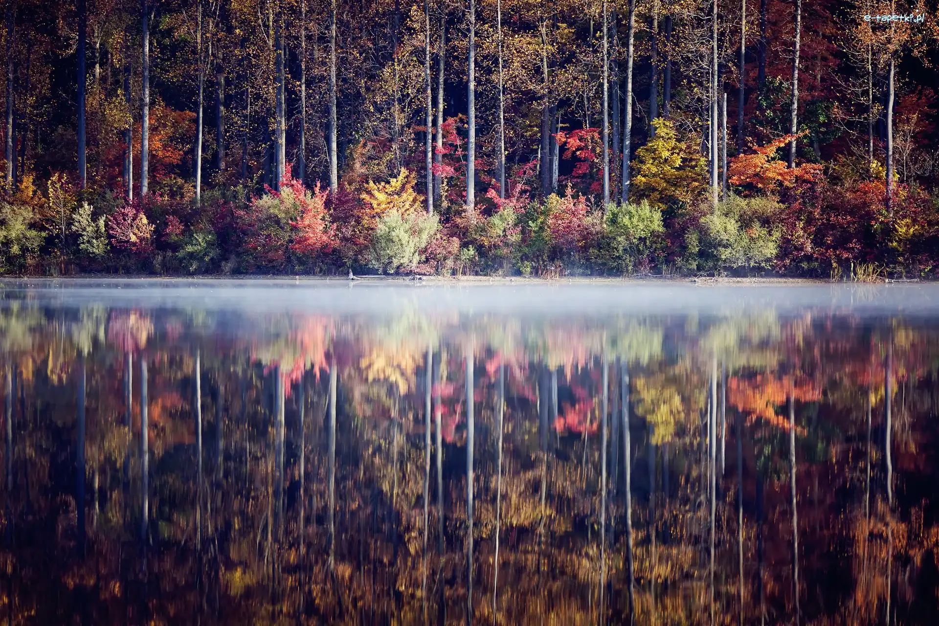 Jesień, Jezioro, Las
