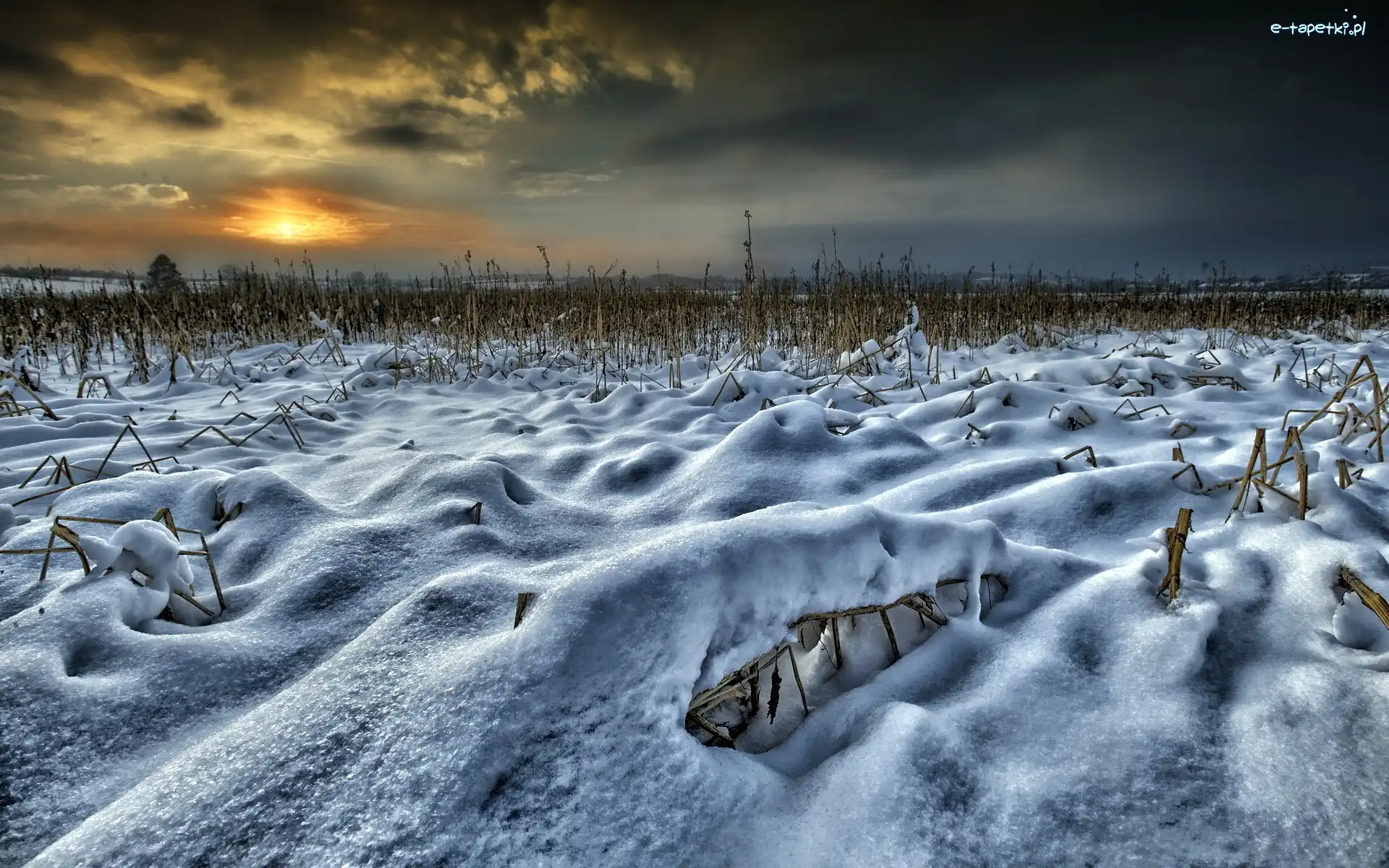 Śnieg, Słońca, Zachód, Pole