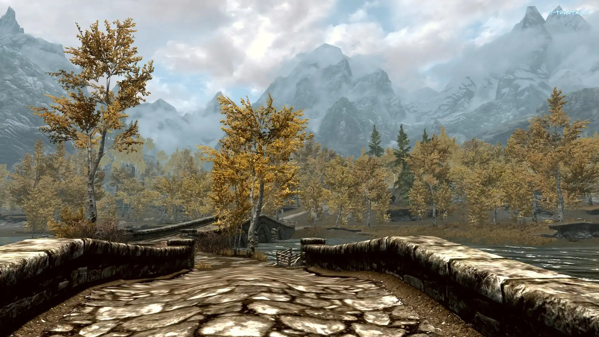 Gra, Skyrim, Komputerowa, Screen