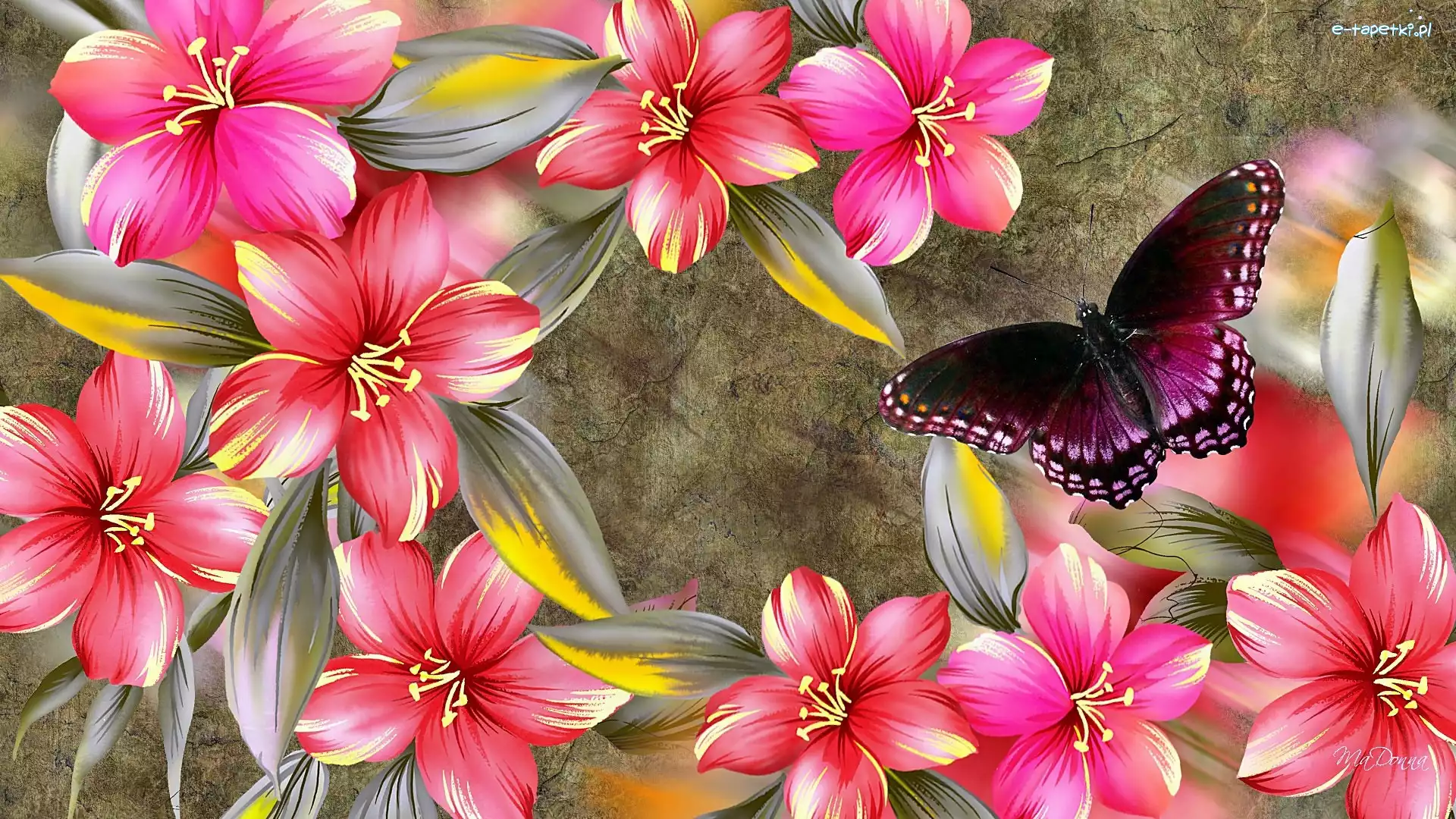 Hibiskus, Art, Motyl, Kwiaty