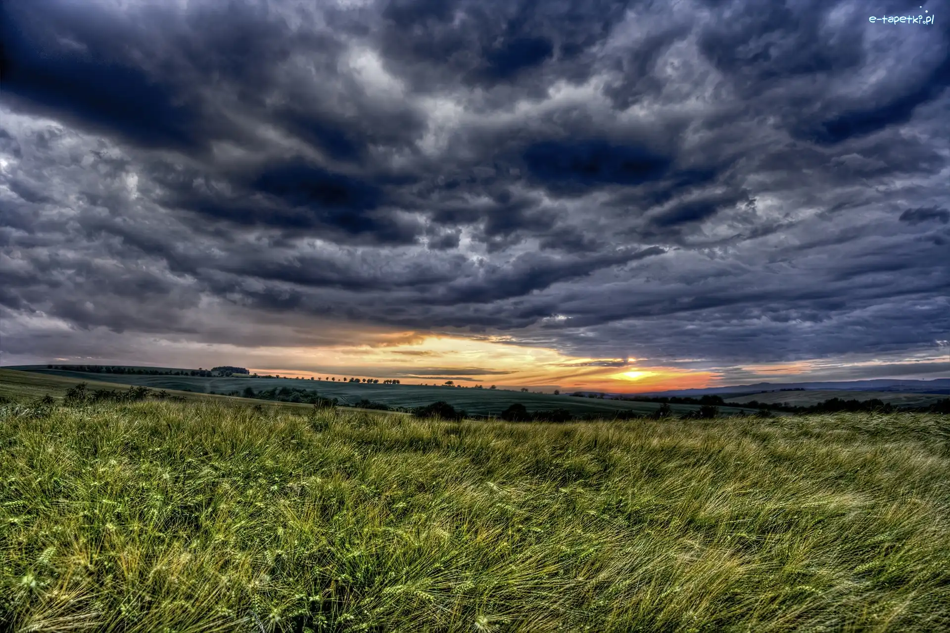 Słońca, Trawy, Chmury, Zachód