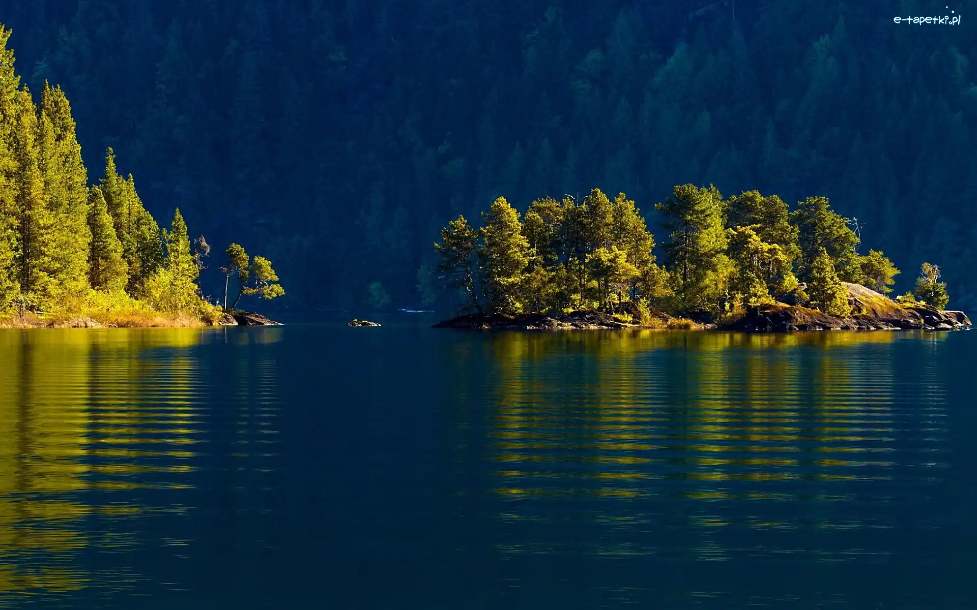 Wysepka, Las, Jezioro