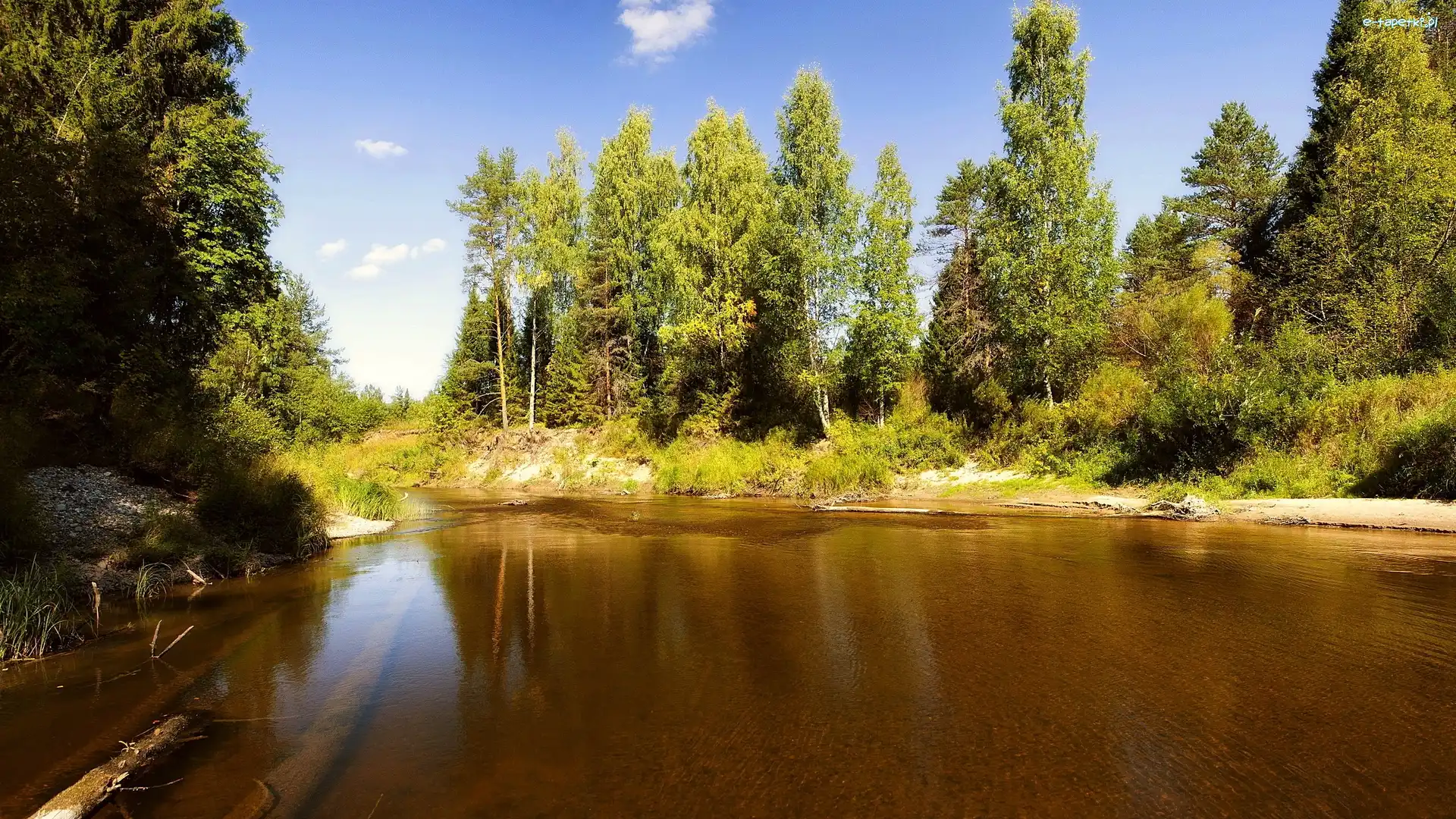 Niebo, Las, Rzeka