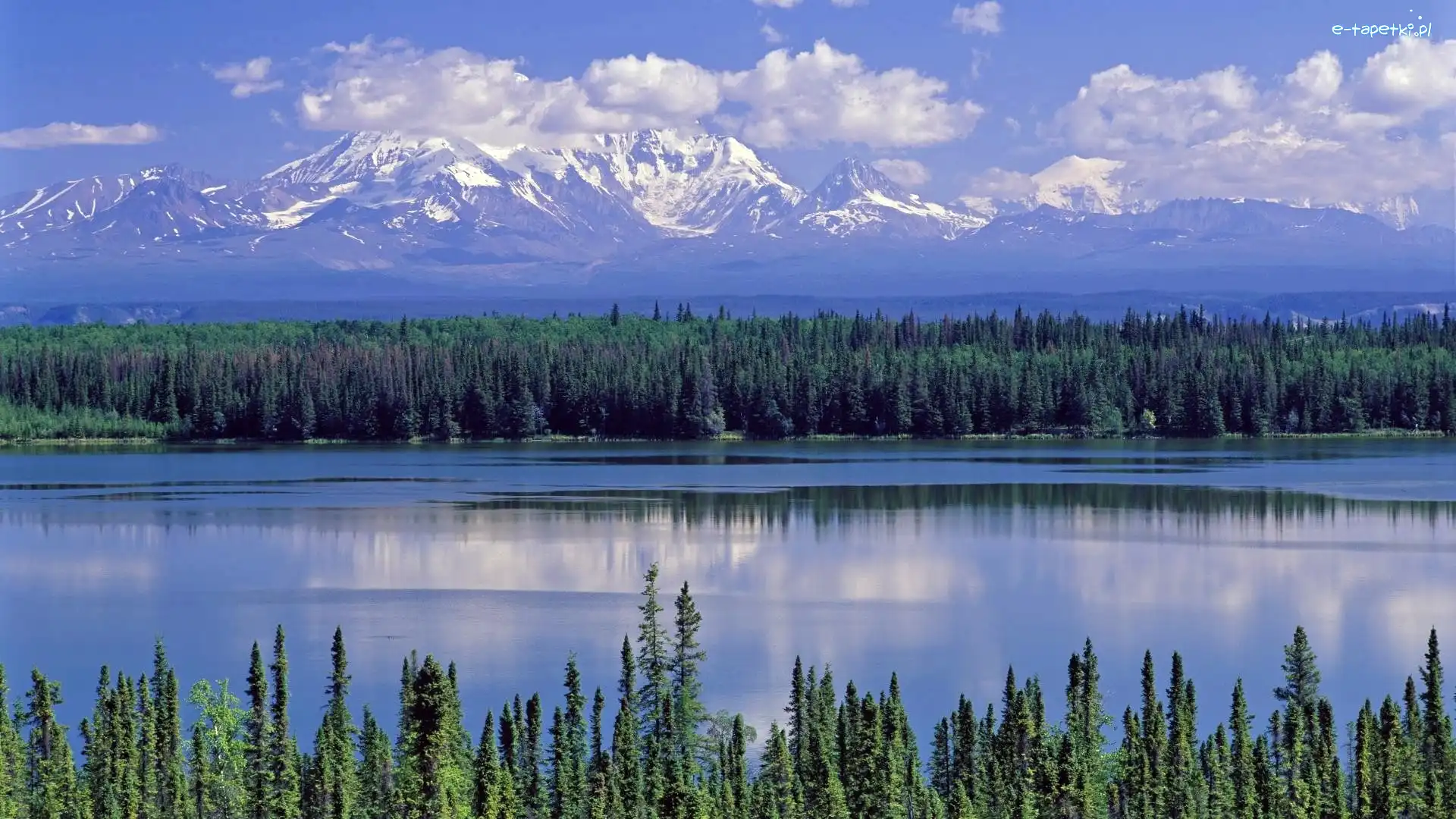 Willow, Narodowy, Park, Alaska