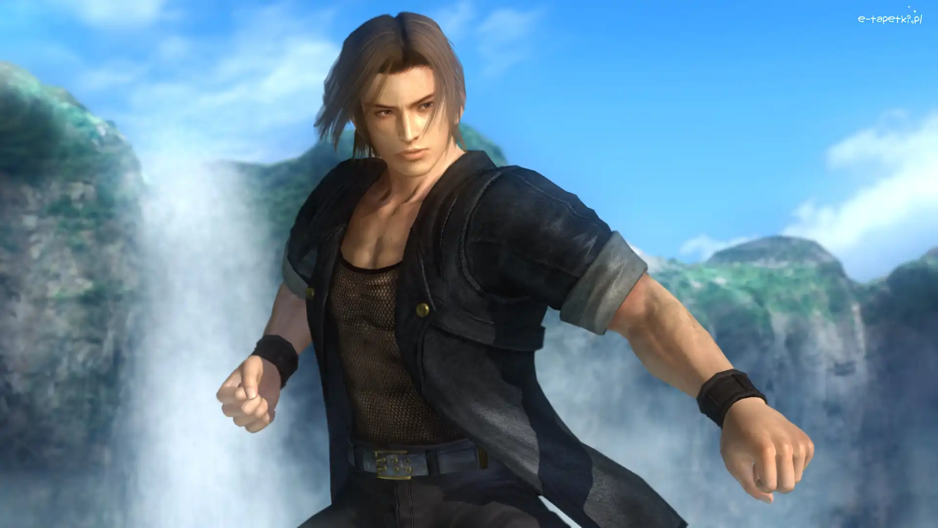 Ein, Dead Or Alive 5 Ultimate