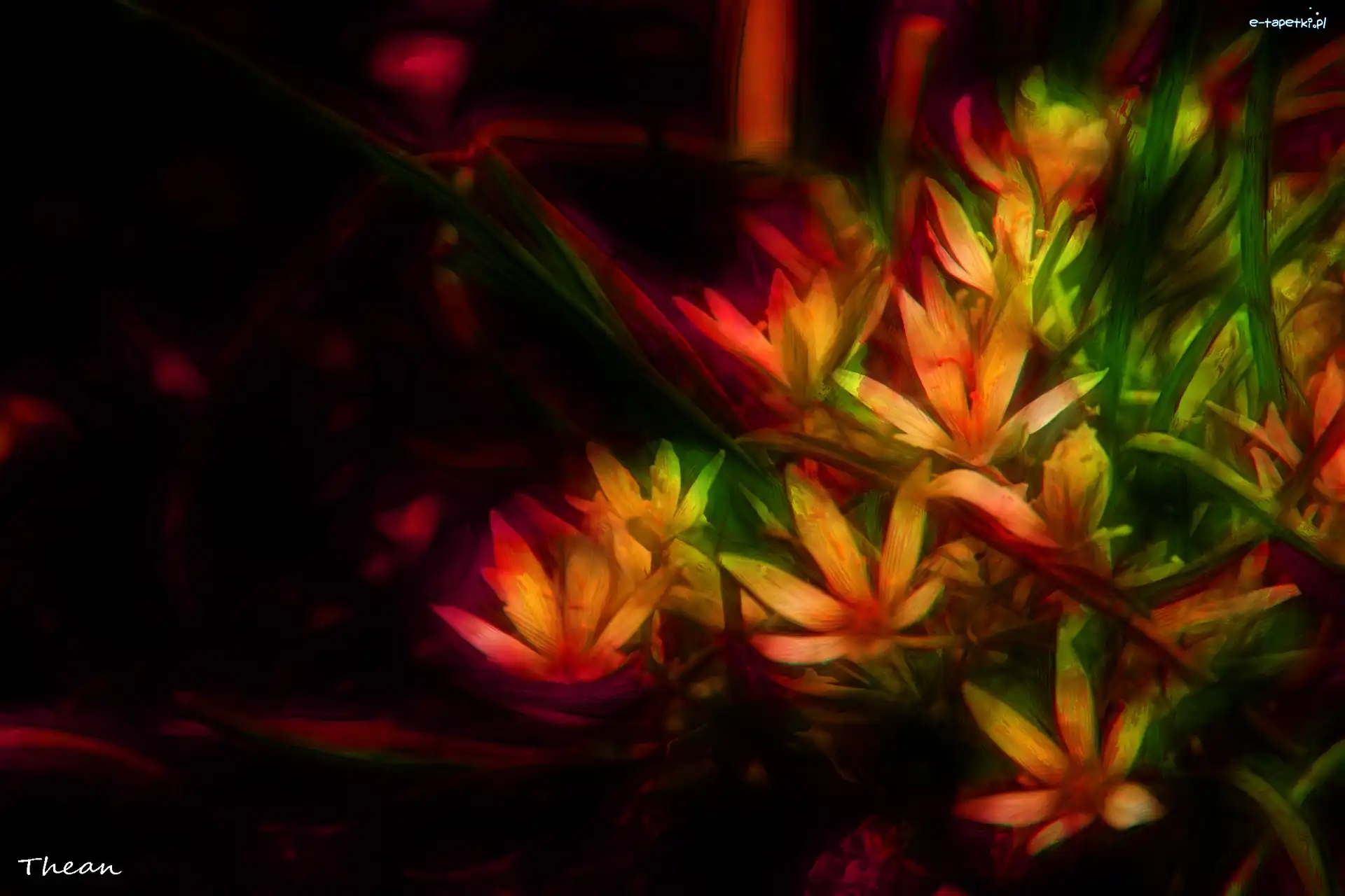 Fractalius, Kwiaty