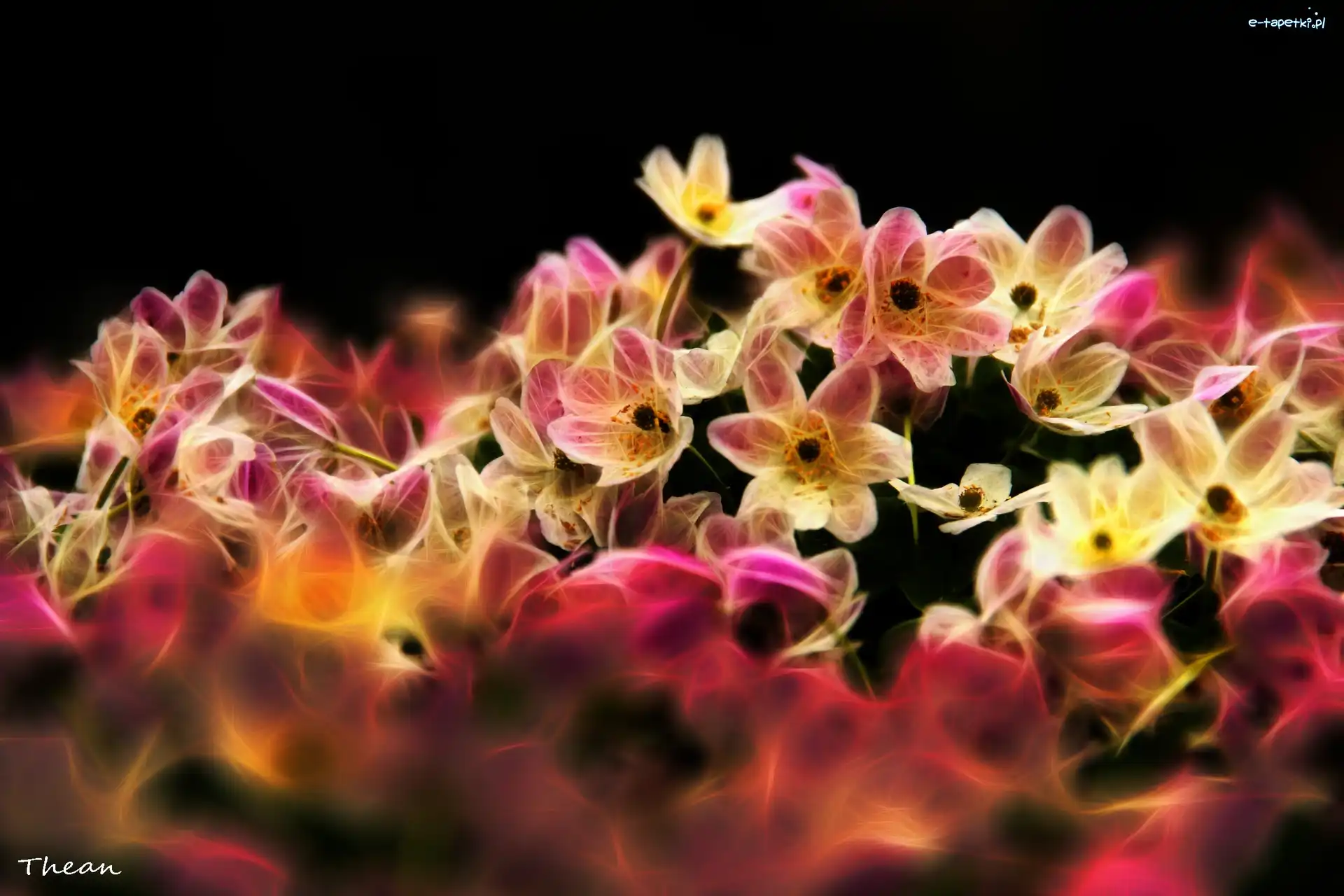 Fractalius, Kwiaty