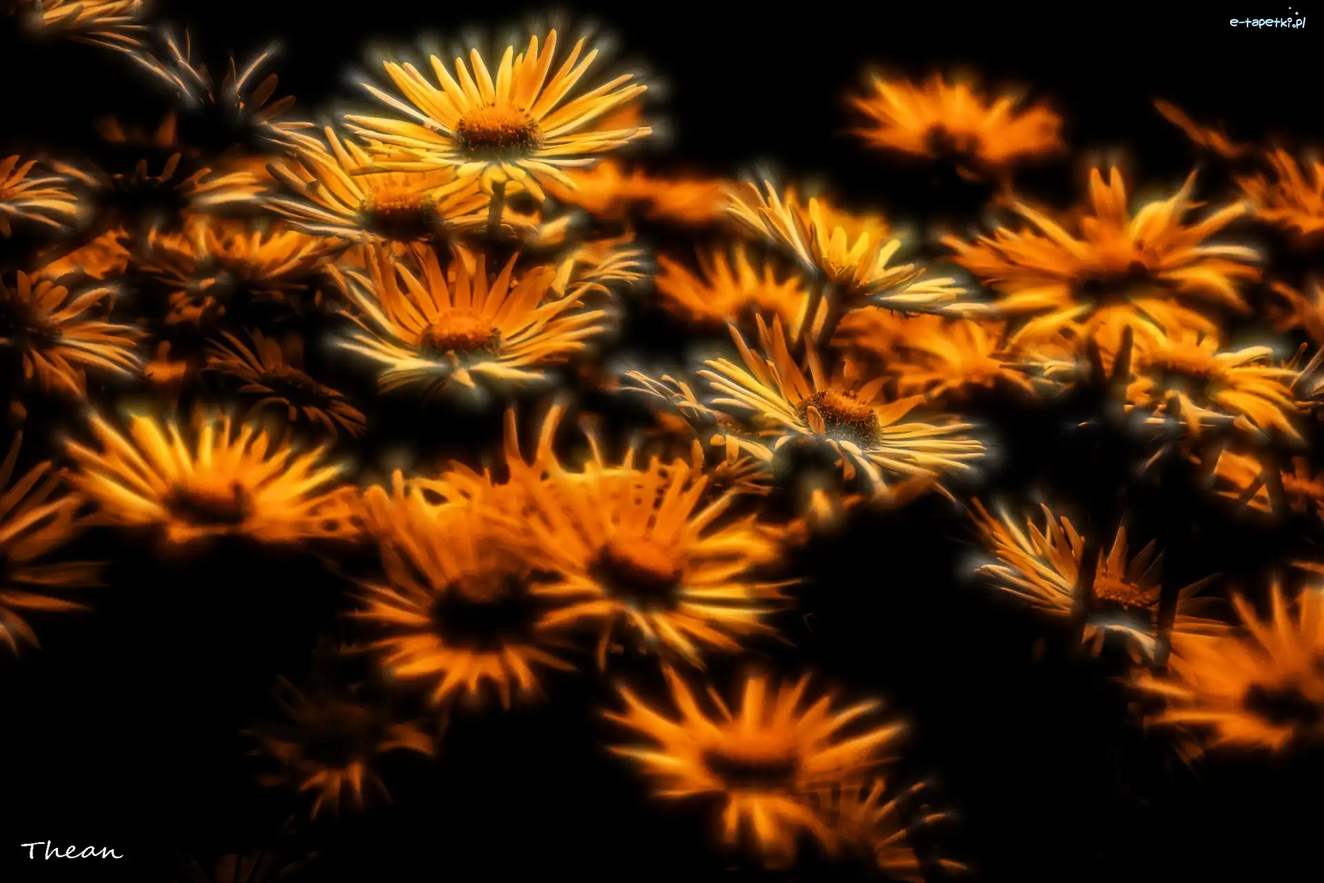 Fractalius, Kwiaty