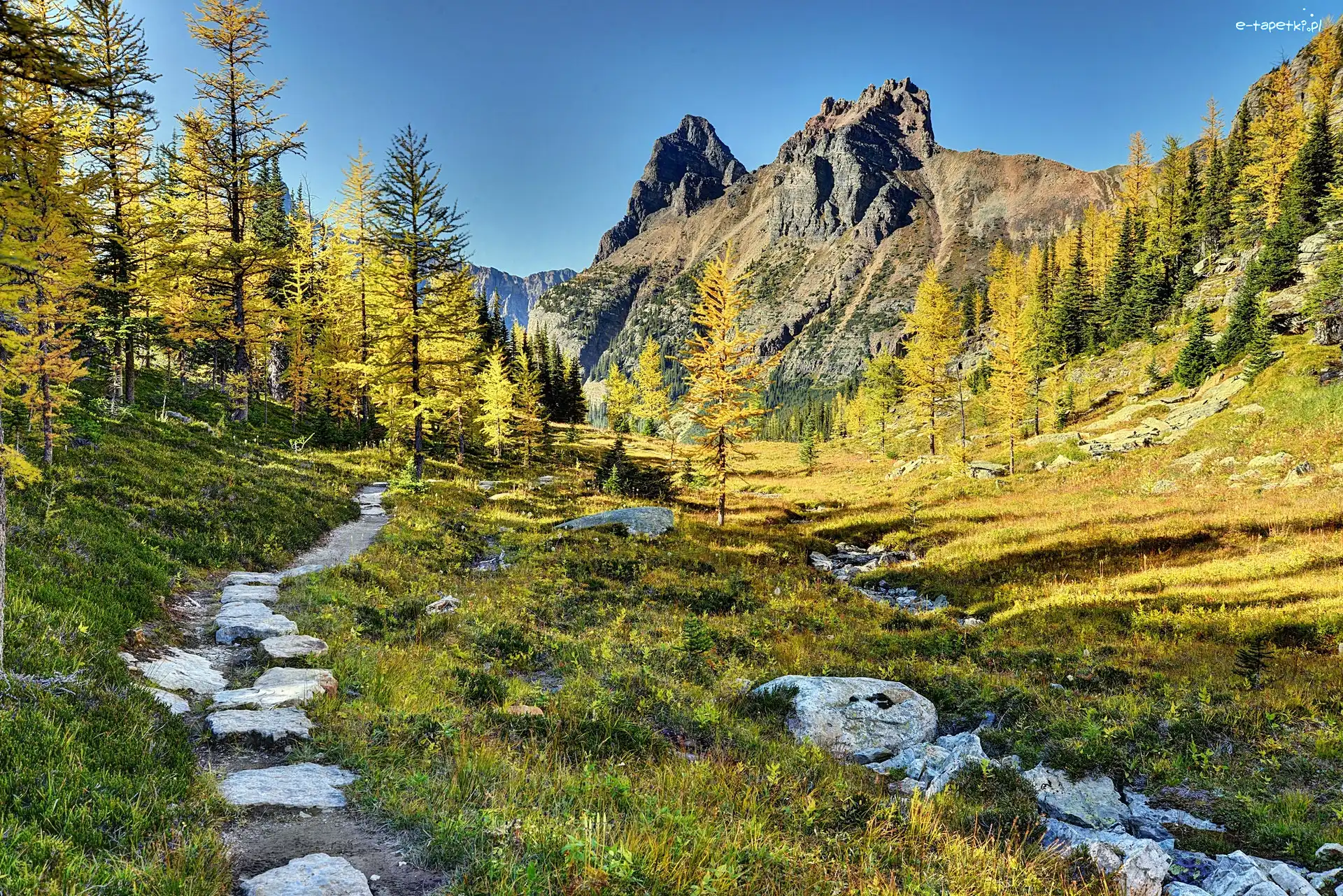 Ścieżka, Góry, Lasy, Jesień, Park Narodowy Yoho, Kanada