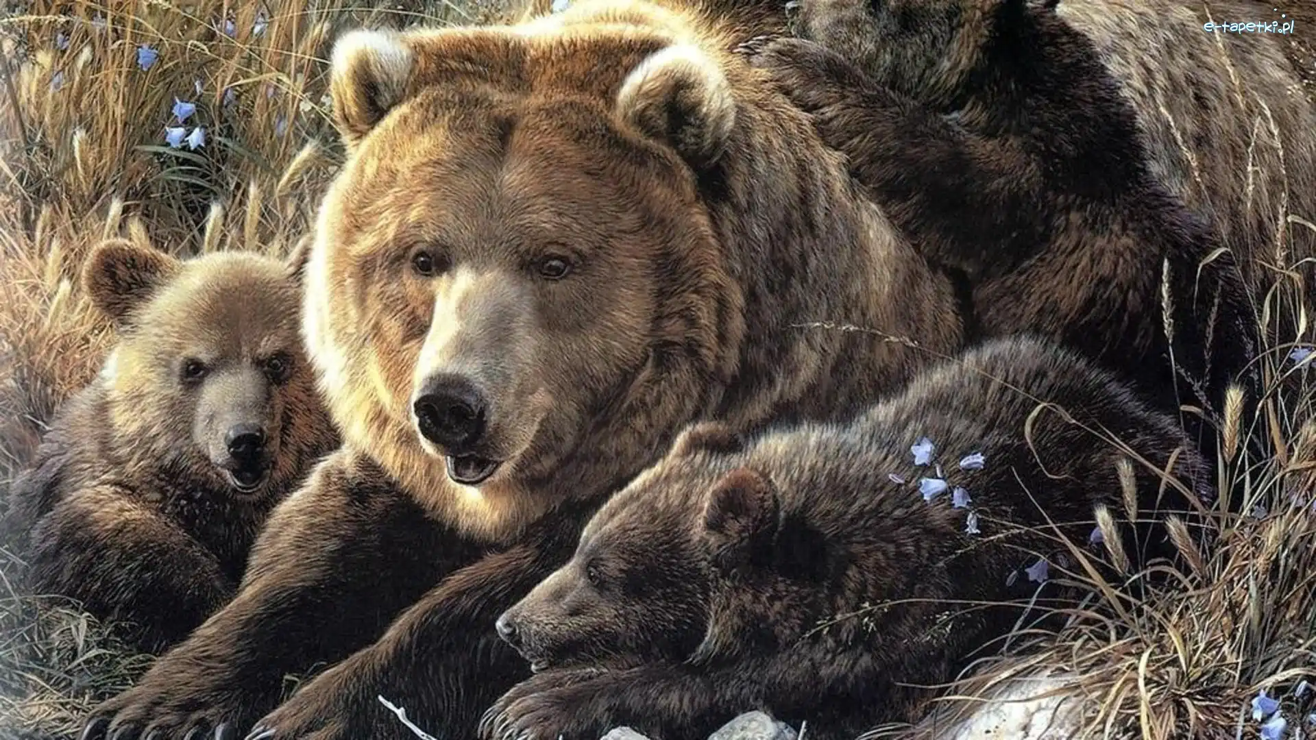 Mama, Małe, Dwa, Misie