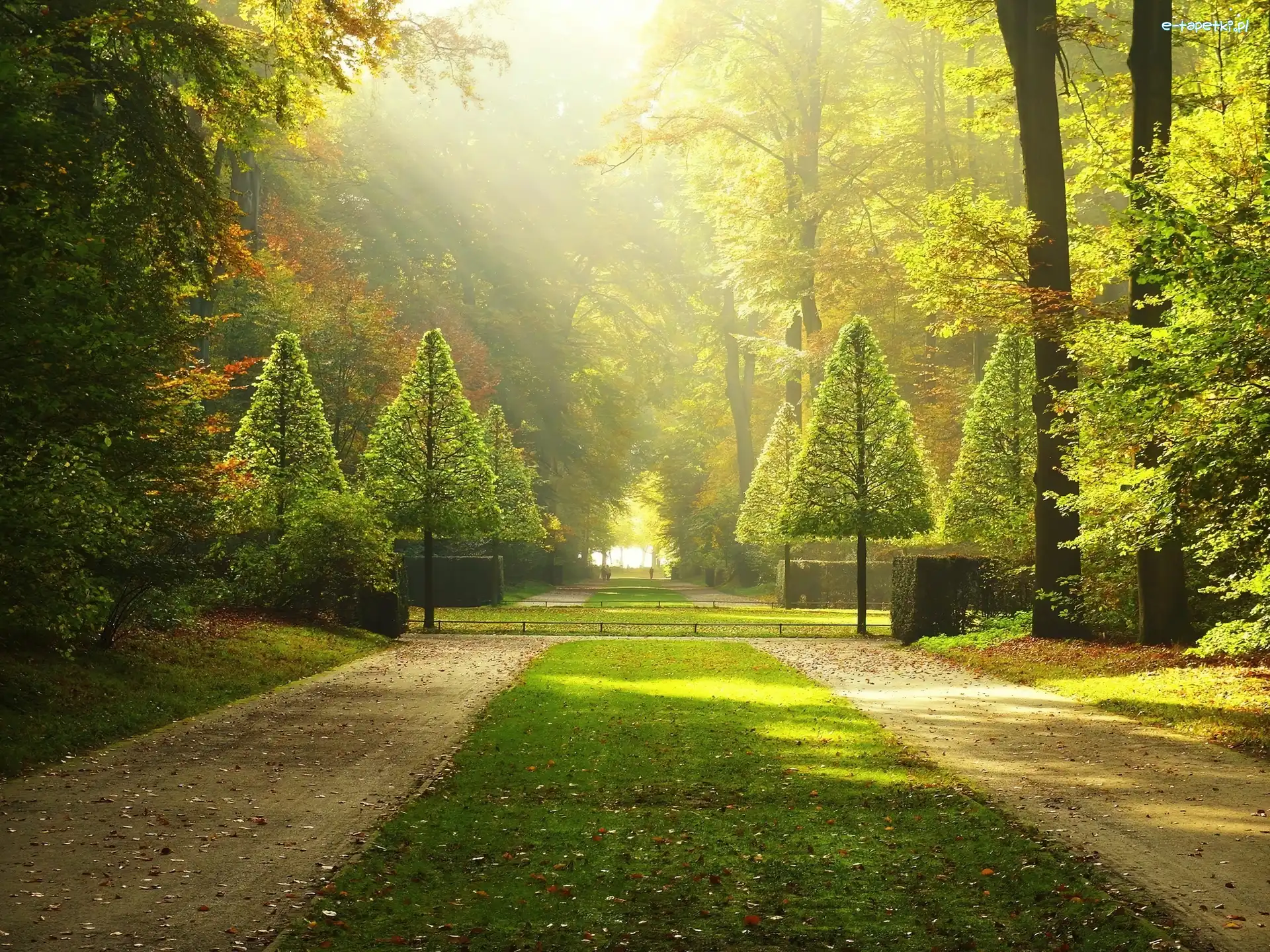 Park, Słońca, Promienie, Alejki, Drzewa