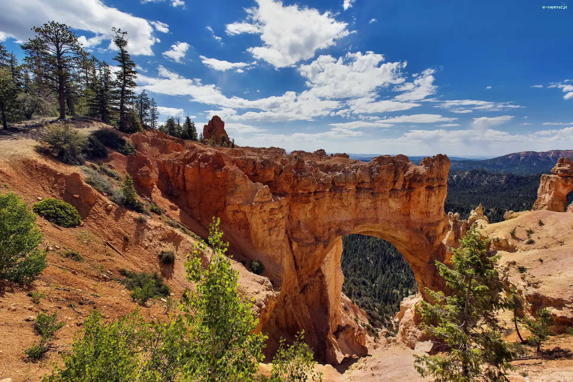 Skały, USA, Utah, Kanion