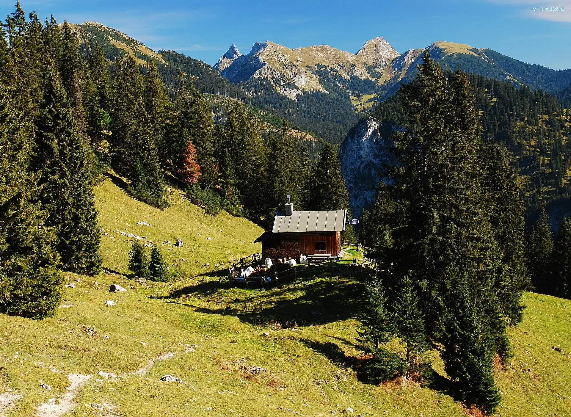 Lasy, Domek, Góralski, Góry