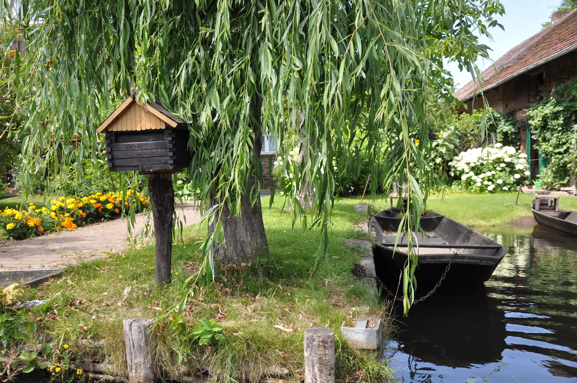 Domy, Kwiaty, Jezioro, Drzewa, Park, Łodzie, Przystań