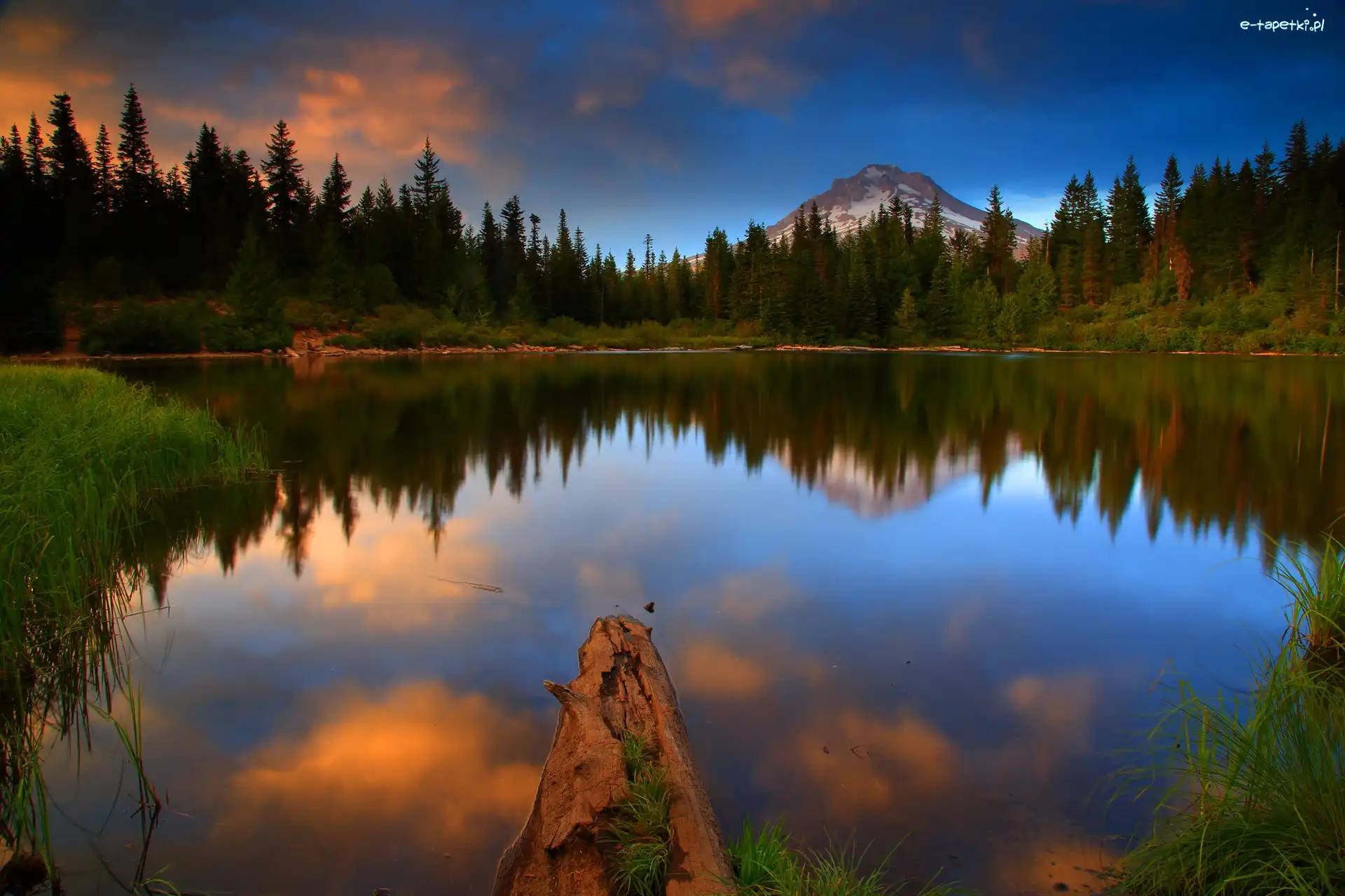 Las, Park Narodowy Yosemite, Jezioro Mirror Lake, Odbicie, Stan Kalifornia, Stany Zjednoczone