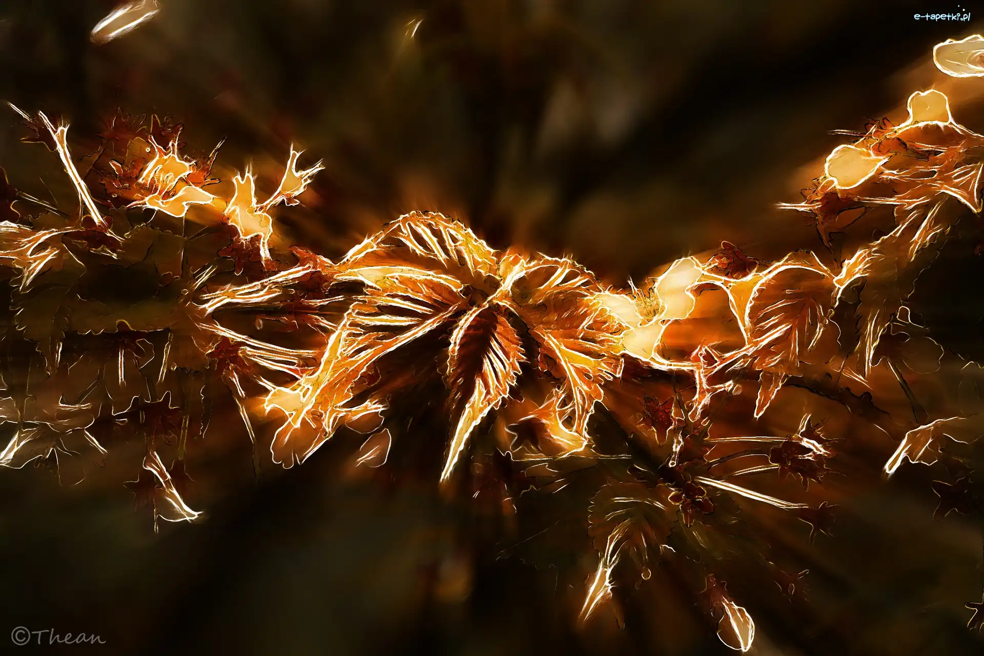 Fractalius, Komputerowa, Grafika