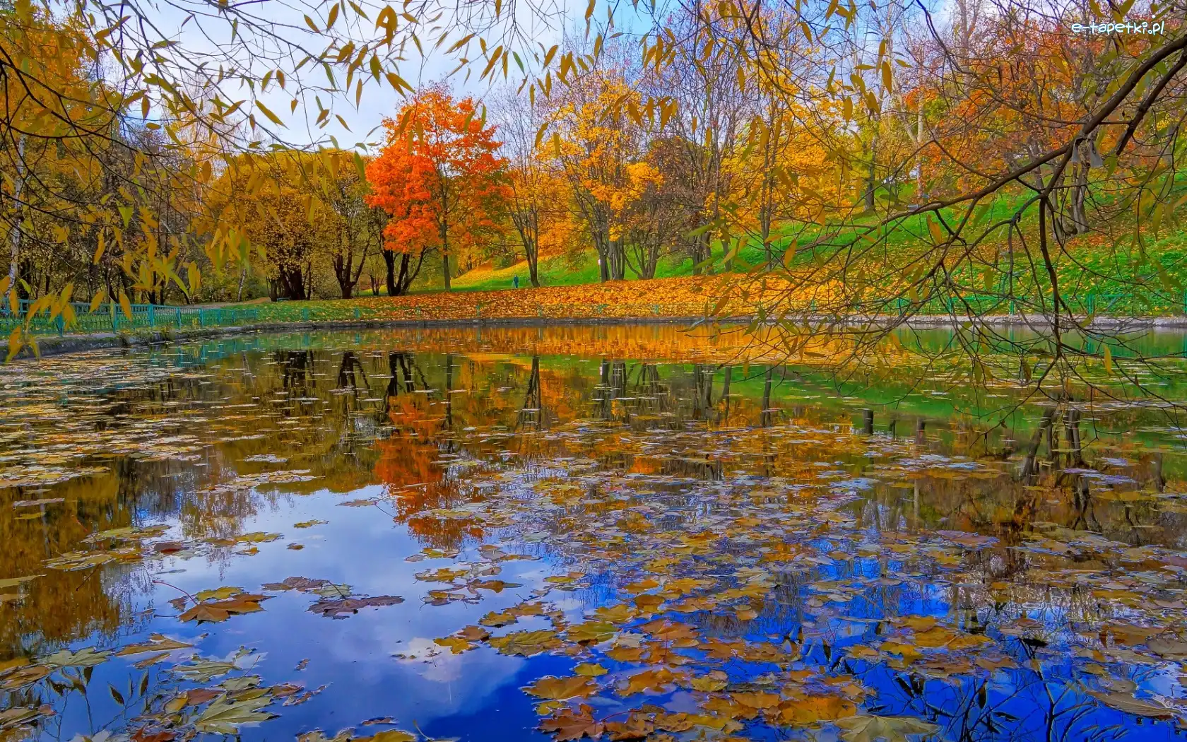 Park, Staw, Drzewa, Jesień, Liście