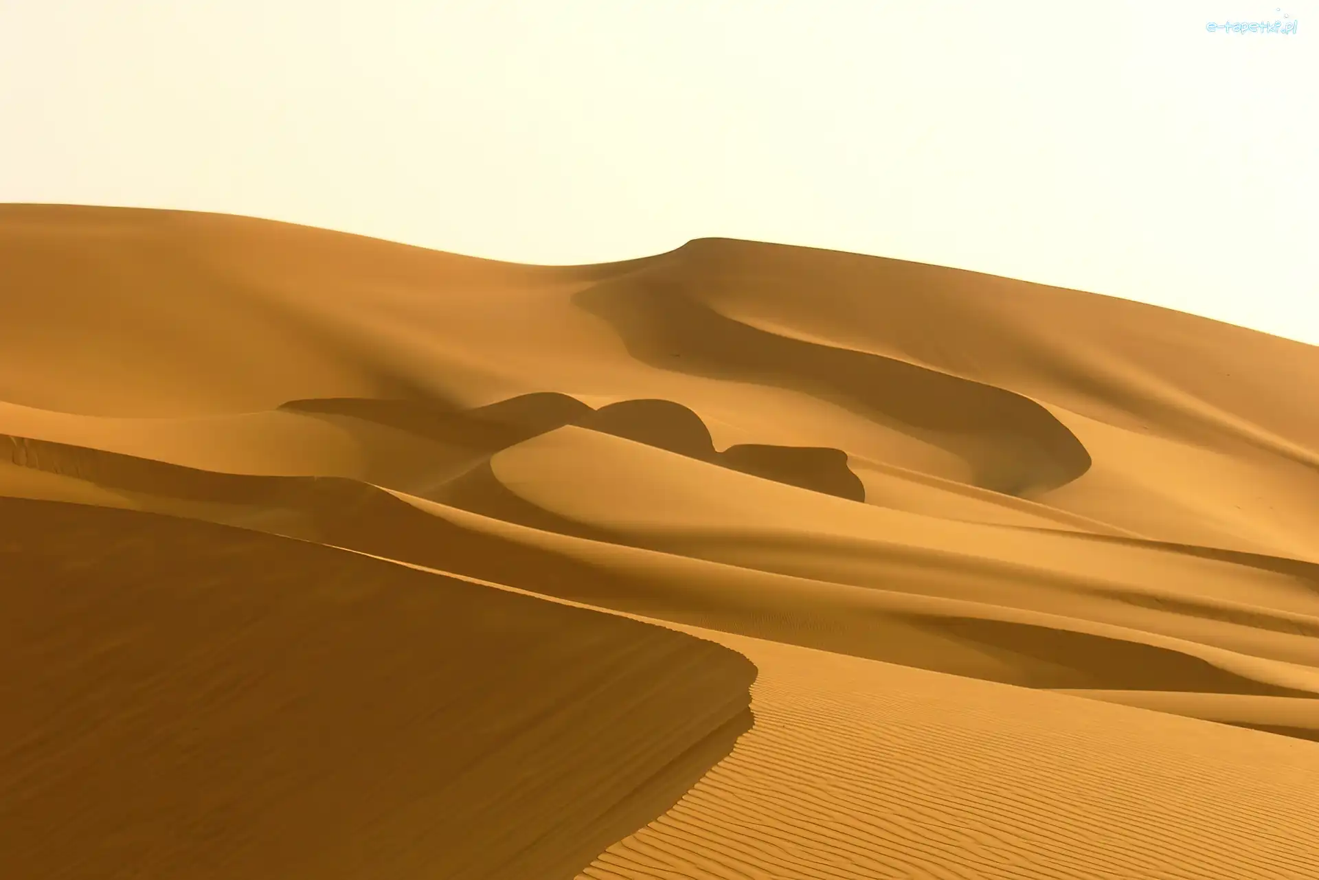 Sahara, Piasek, Pustynia