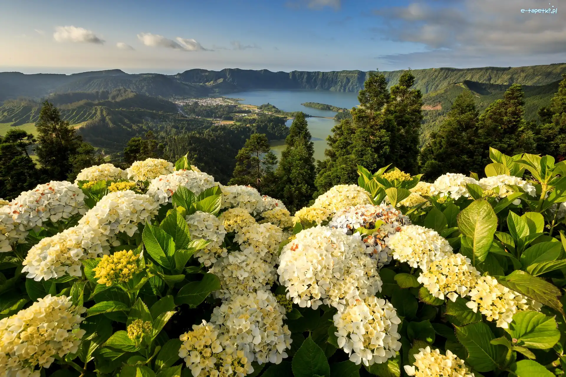 Hortensje, Jezioro, Góry, Portugalia, Azory