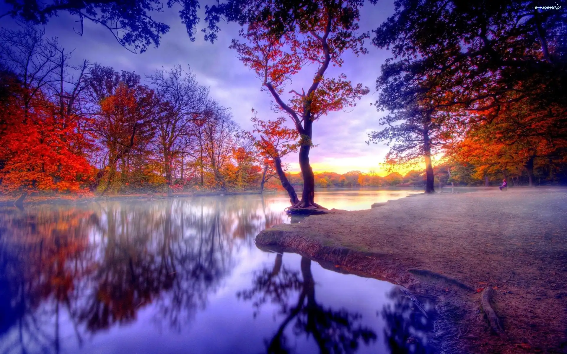 Jesień, Park, Rzeka, Drzewa, Kolorowe