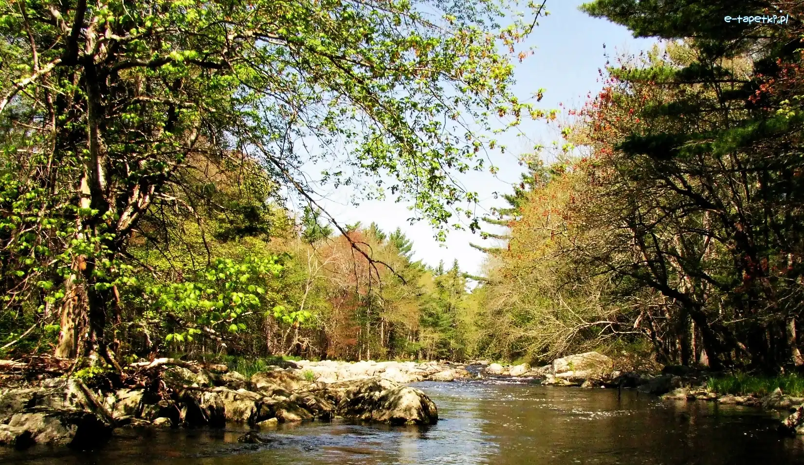 Nowa, Park, Szkocja, Kejimkujik, Narodowy
