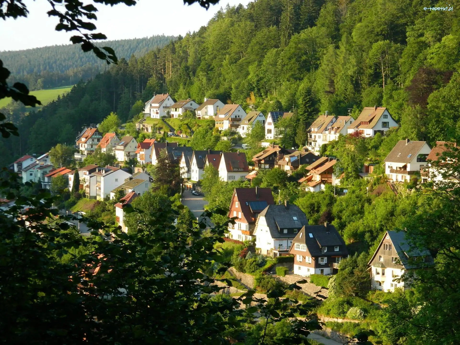Las, Miasteczko