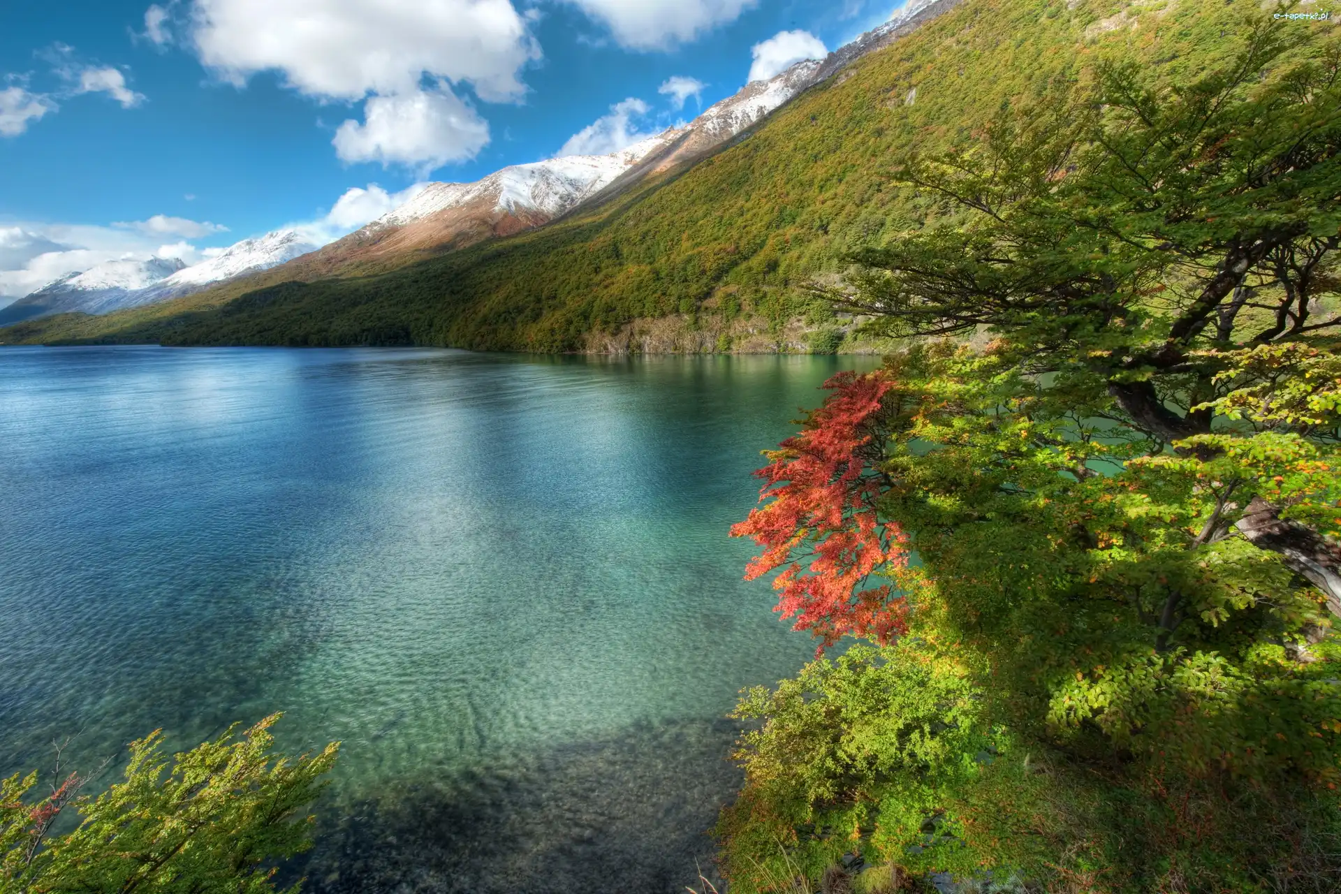 Góry, Argentyna, Drzewa, Jezioro