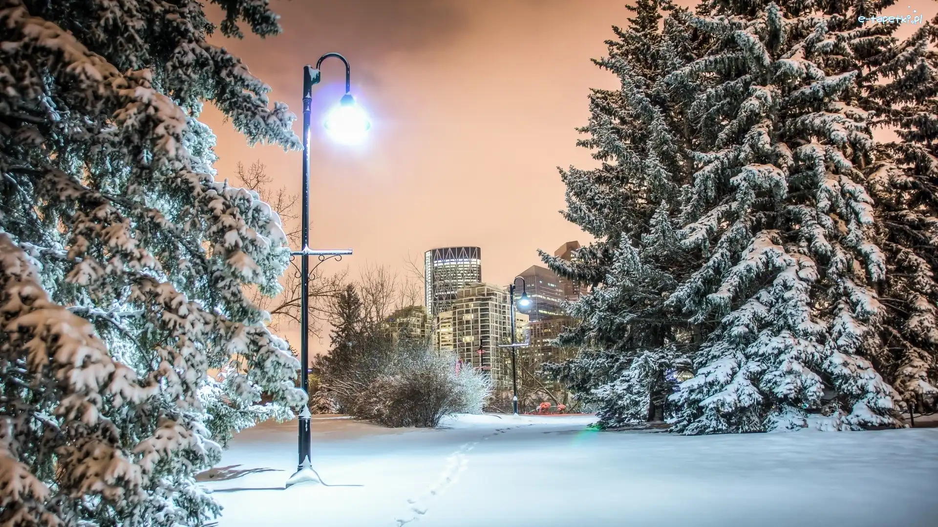 Lampa, Park, Zima