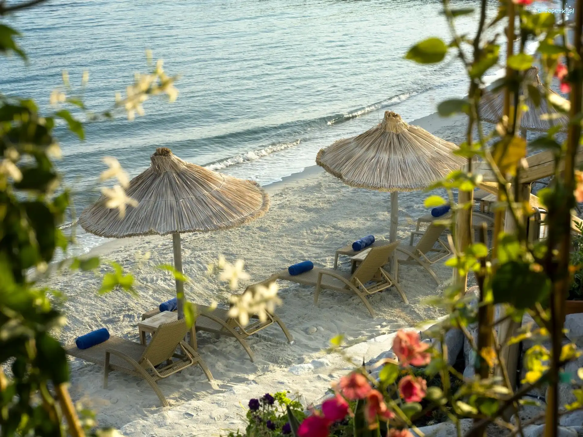 Leżaki, Wakacje, Parasole, Plaża