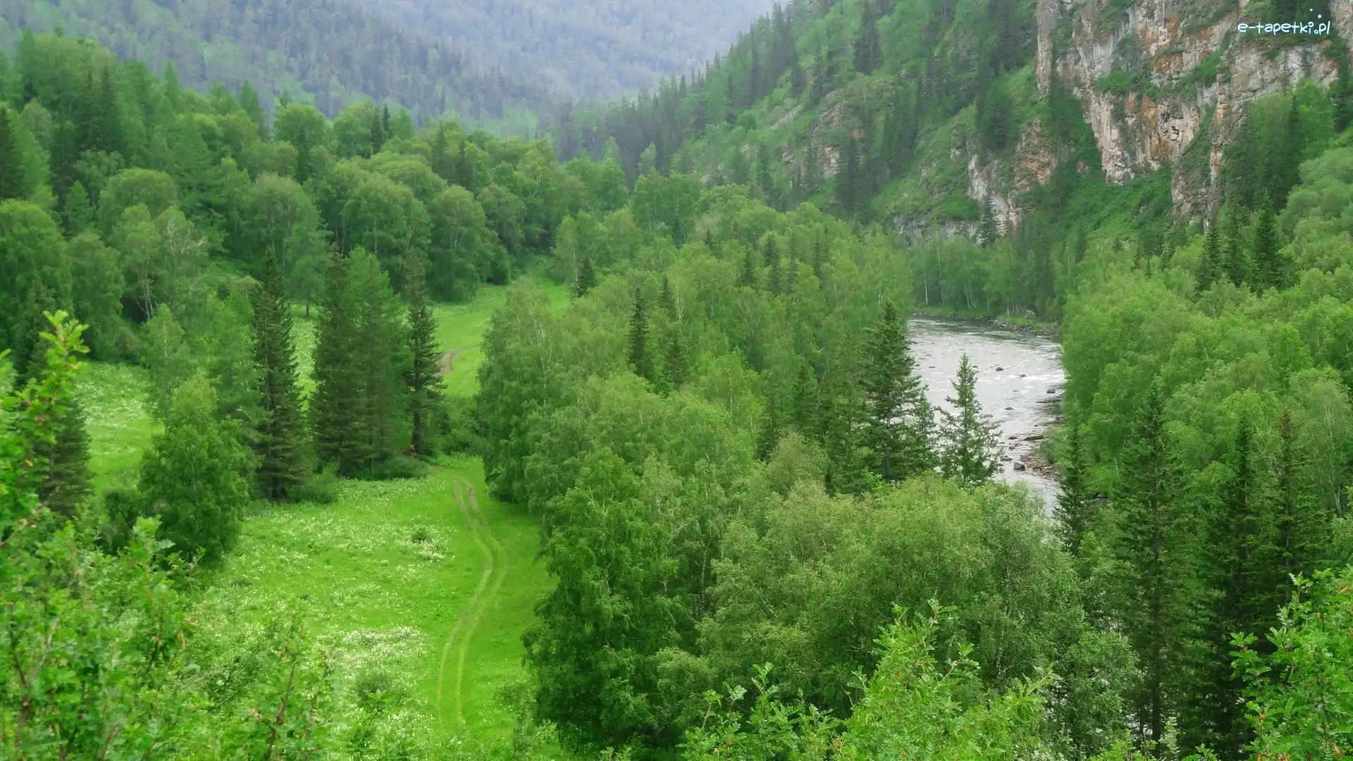 Lasy, Ścieżka, Rzeka, Góry