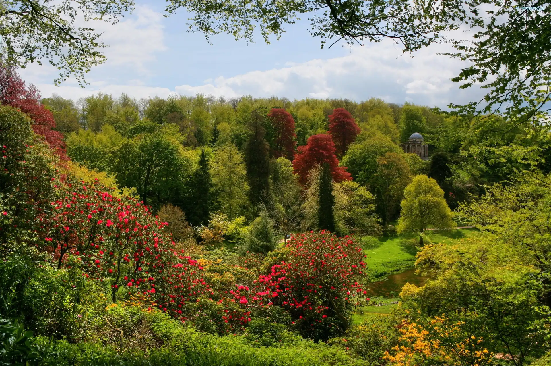 Park, Kolorowe, Altana, Krzewy, Drzewa