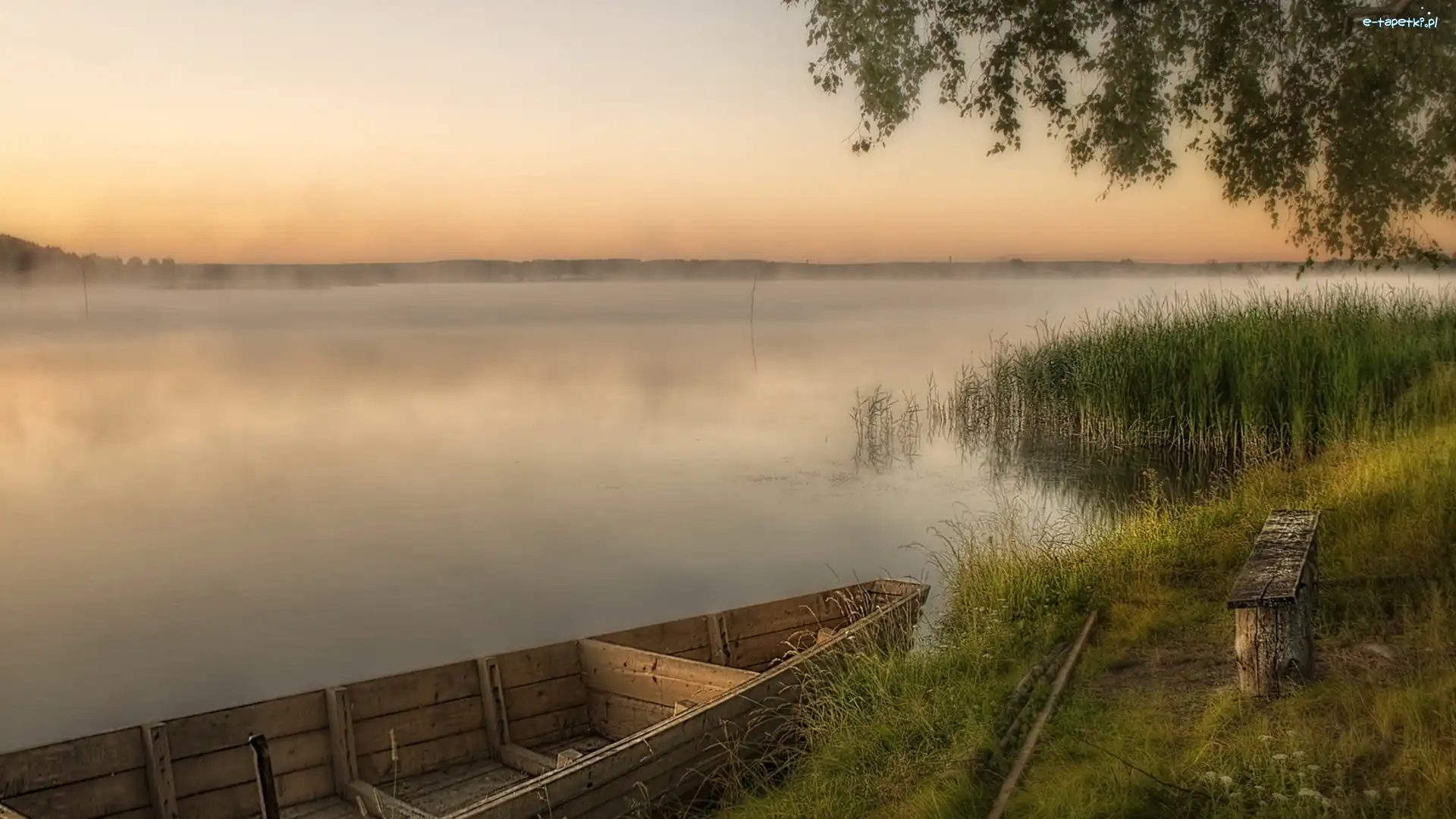 Łódz, Szuwary, Mgła, Jezioro