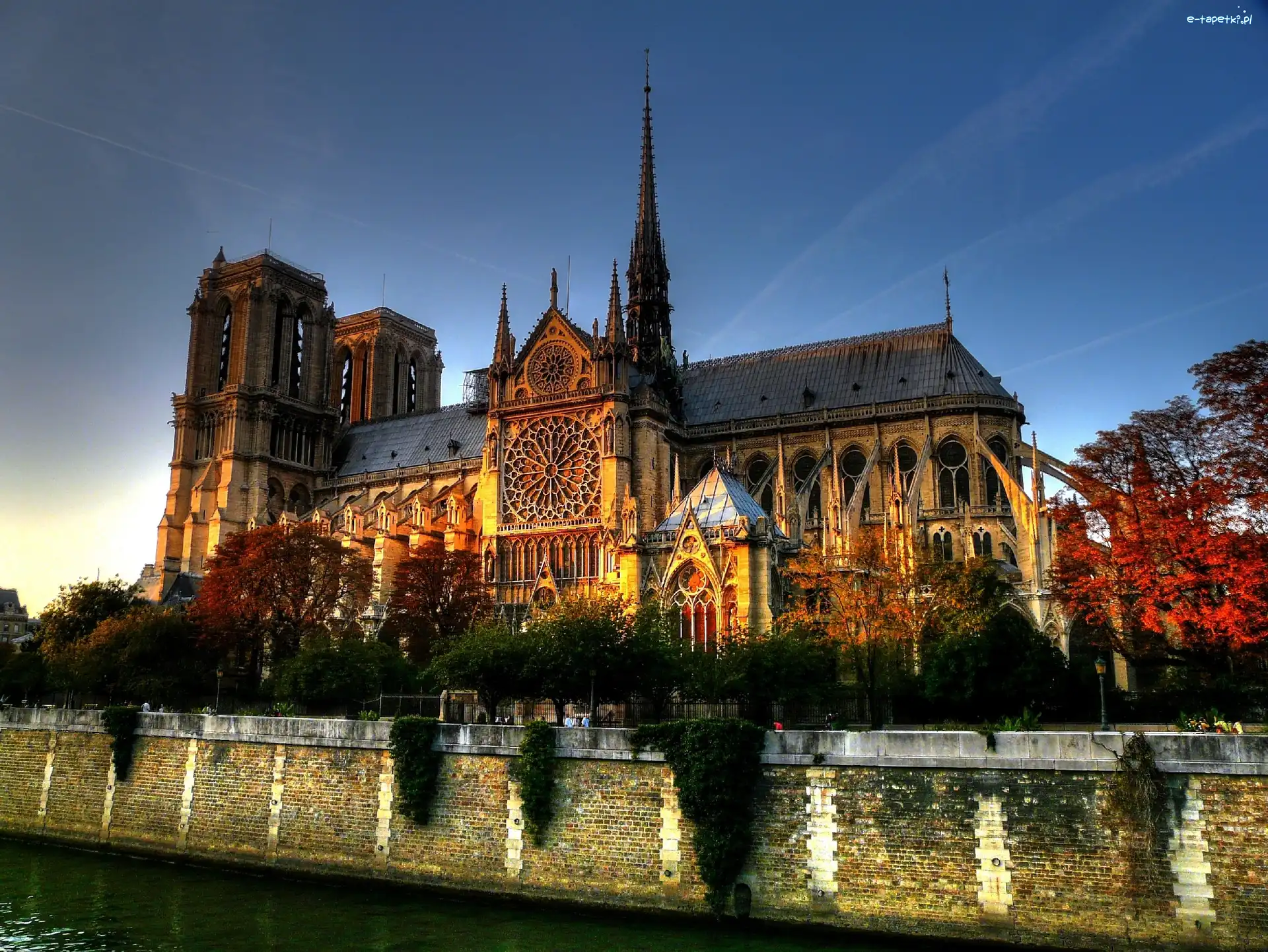 Notre Dame, Katedra