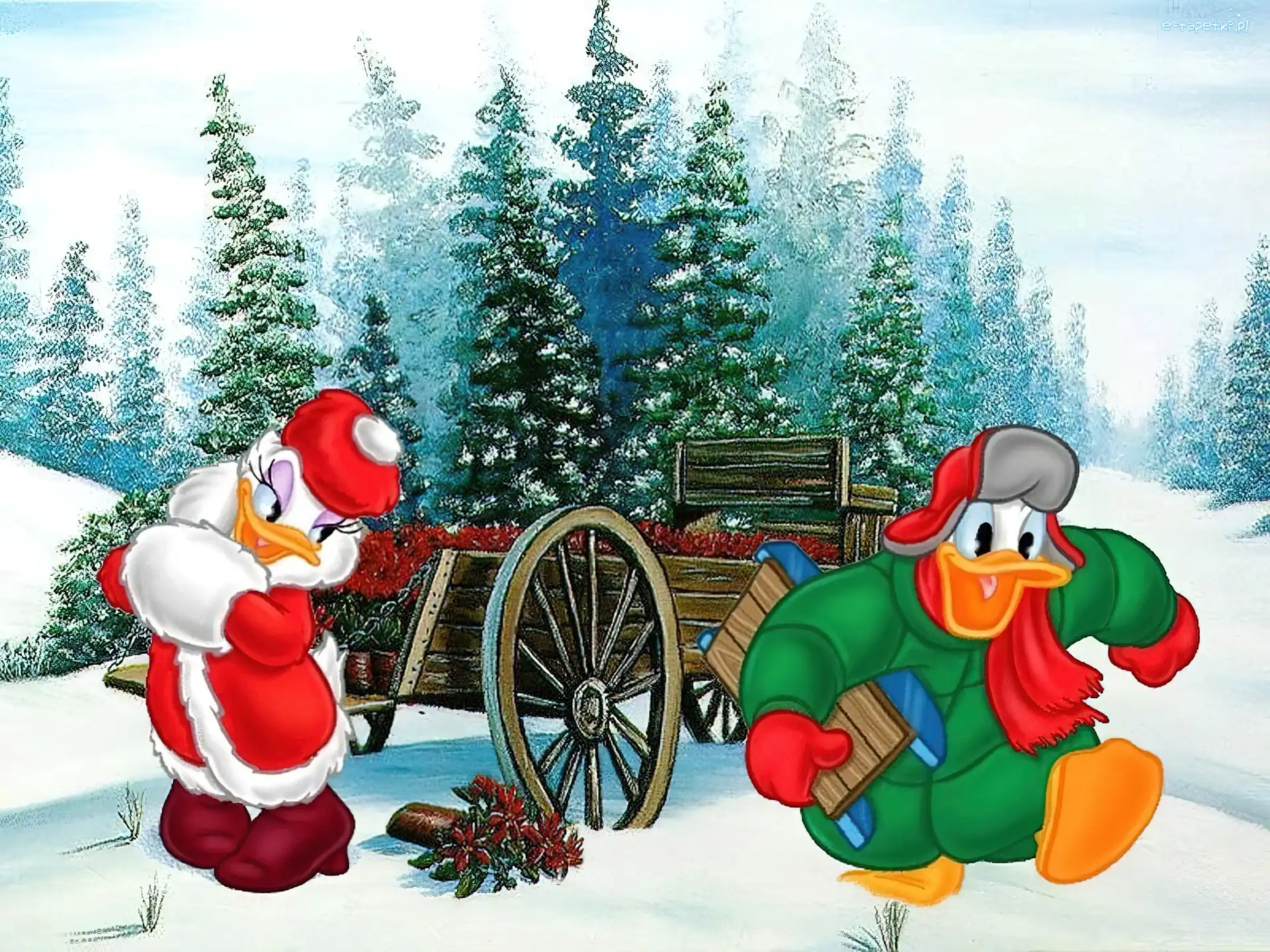 Kaczor Donald, Boże Narodzenie