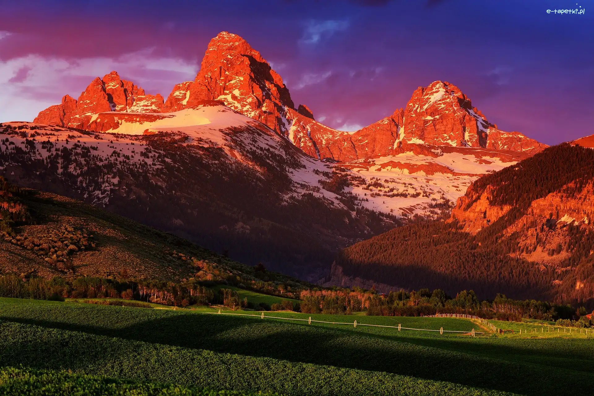 Stany Zjednoczone, Park Narodowy Grand Teton, Stan Wyoming, Łąki, Góry