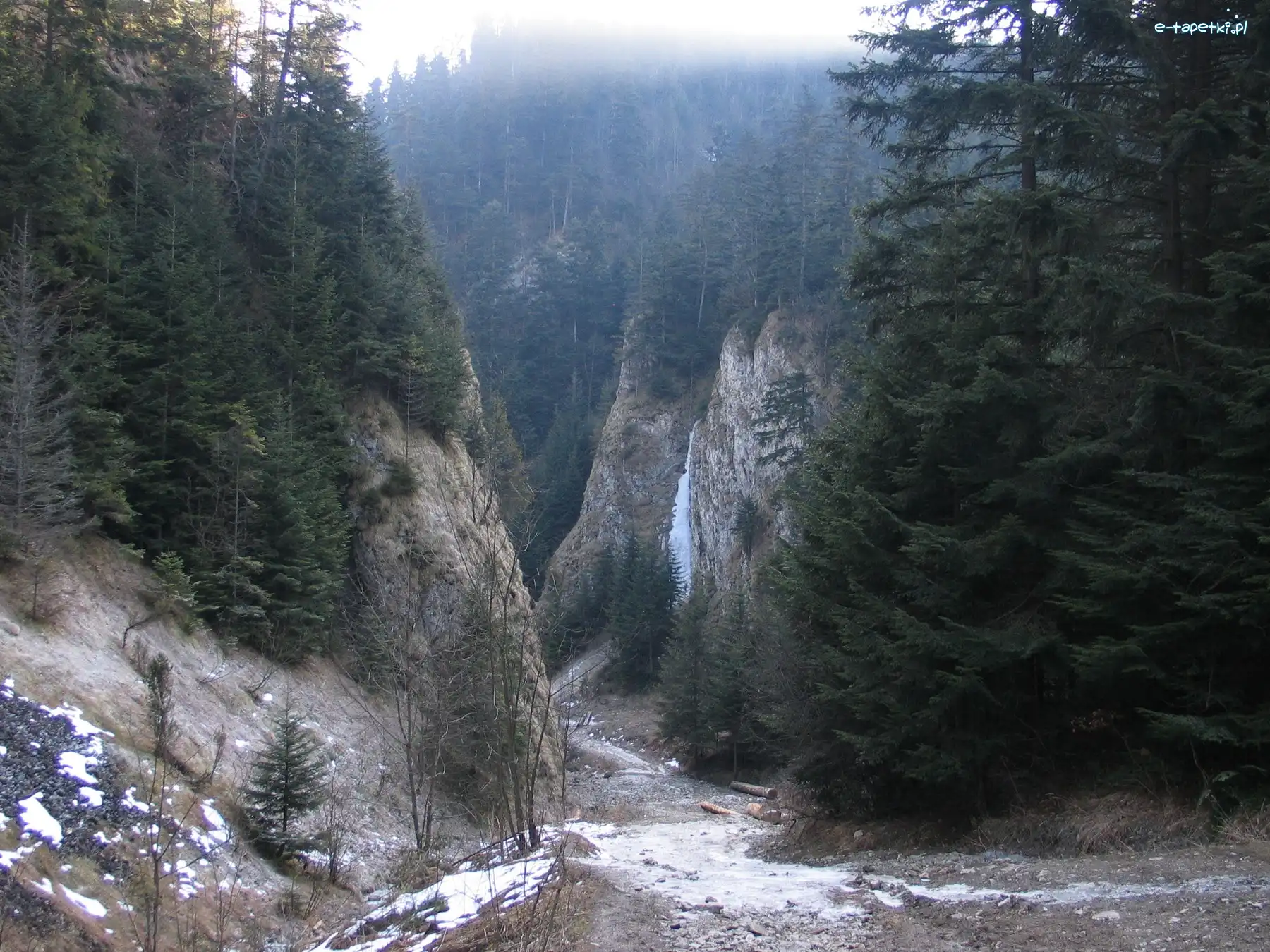 Dolina, Droga, Góry, Drzewa