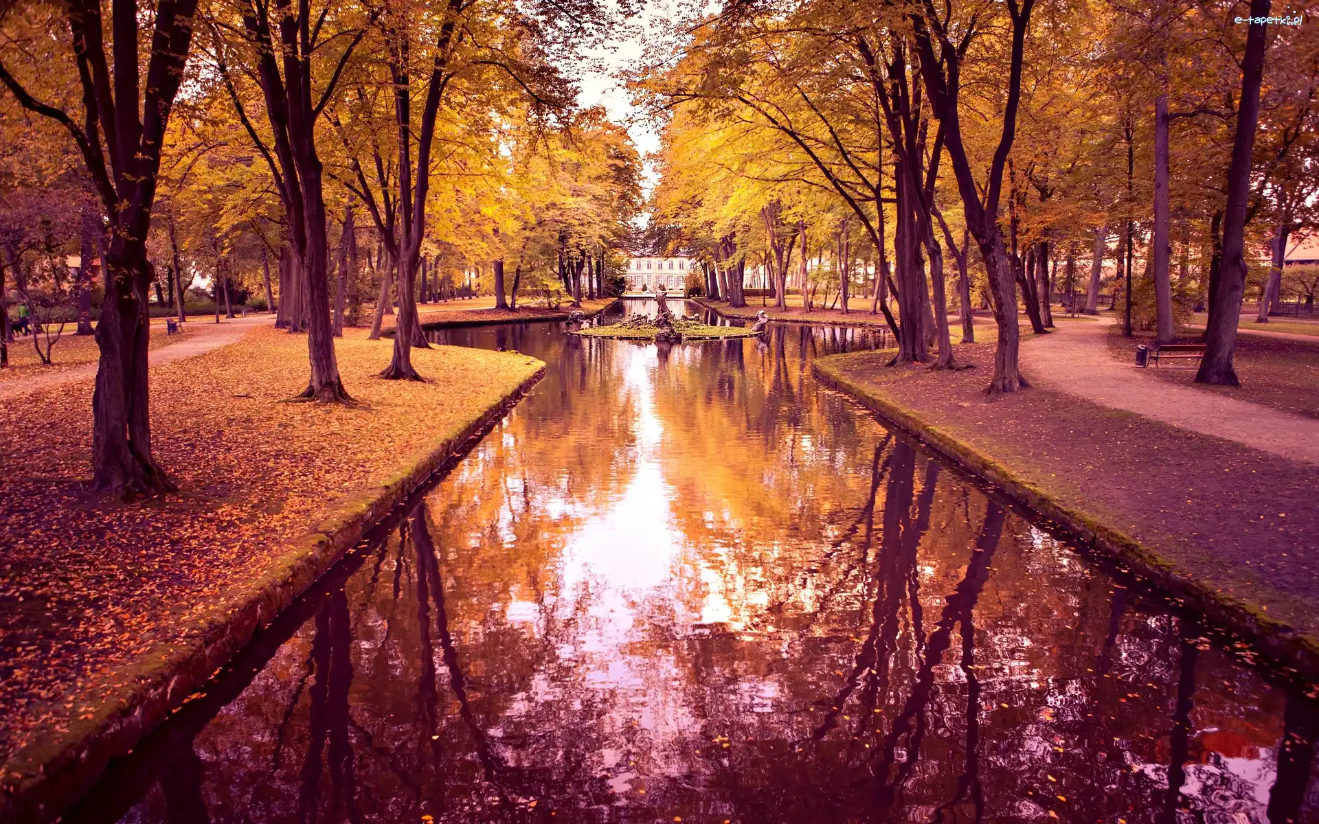 Park, Wodny, Zbiornik, Jesień, Alejki