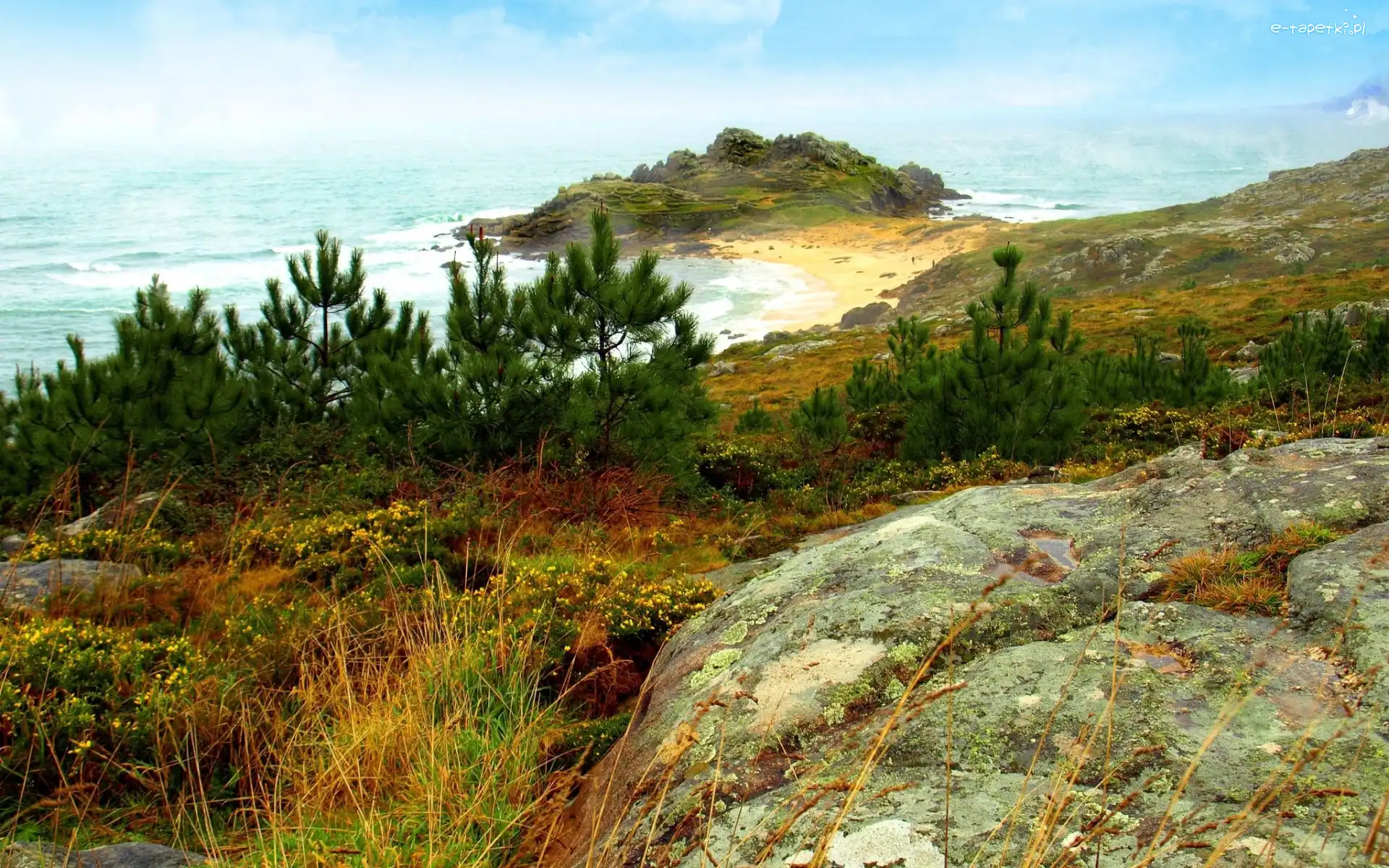 Plaża, Drzewa, Skała, Morze