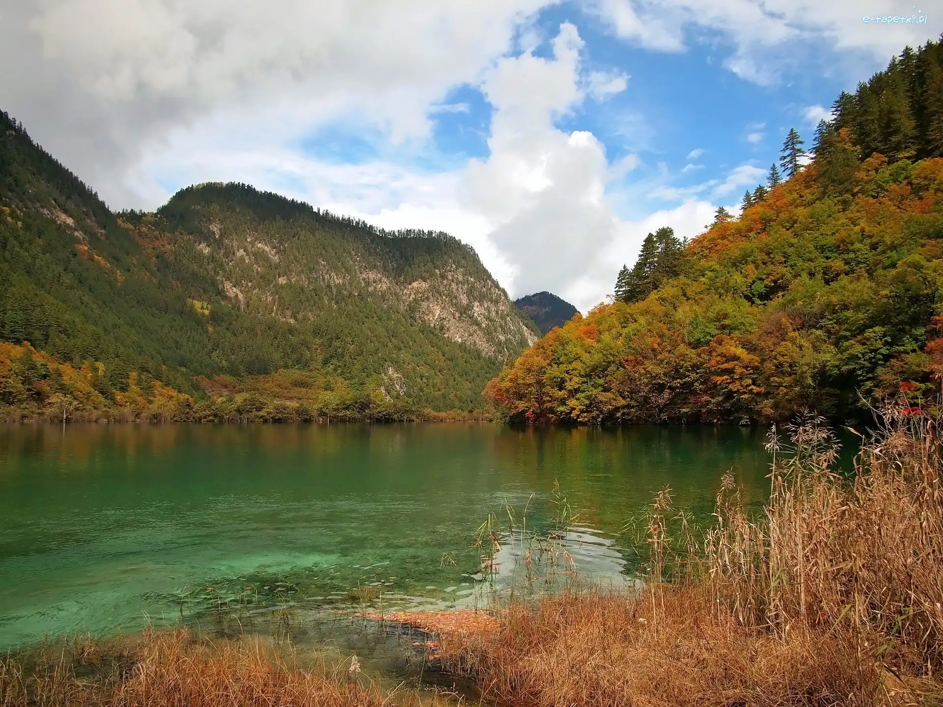 Jesień, Jezioro, Góry, Trawy, Lasy