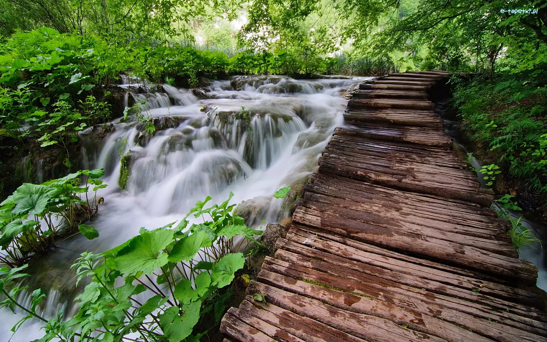 Las, Rzeka, Rwąca