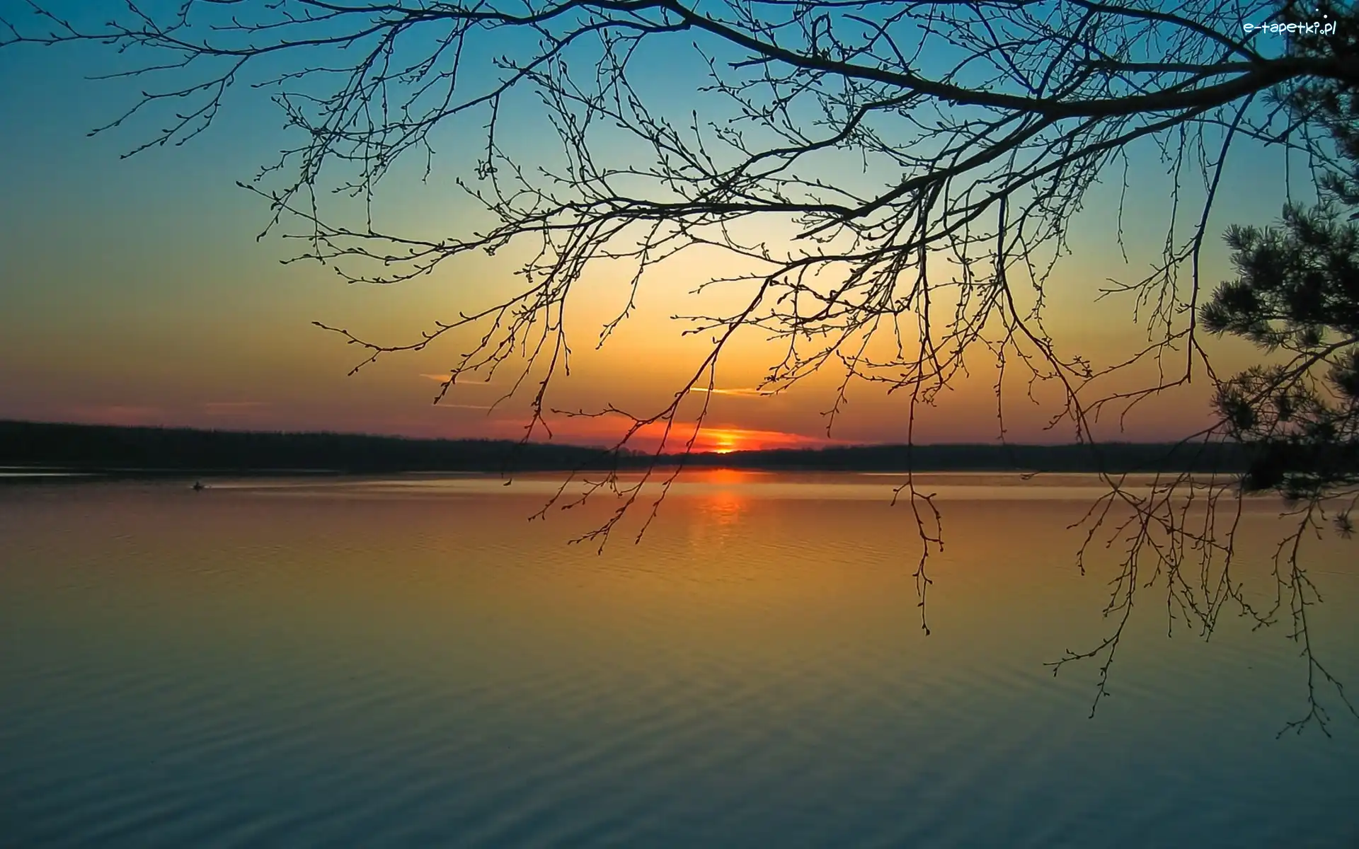 Jezioro, Łódka, Lasy, Słońca, Zachód