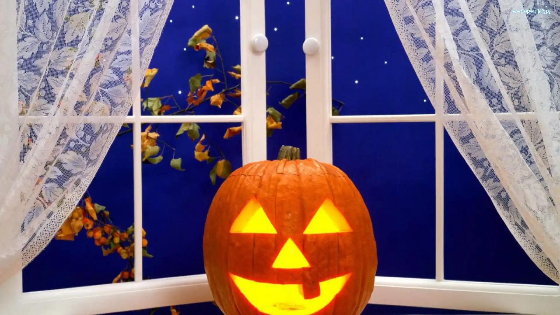 Okno, Liście, Noc, Halloween