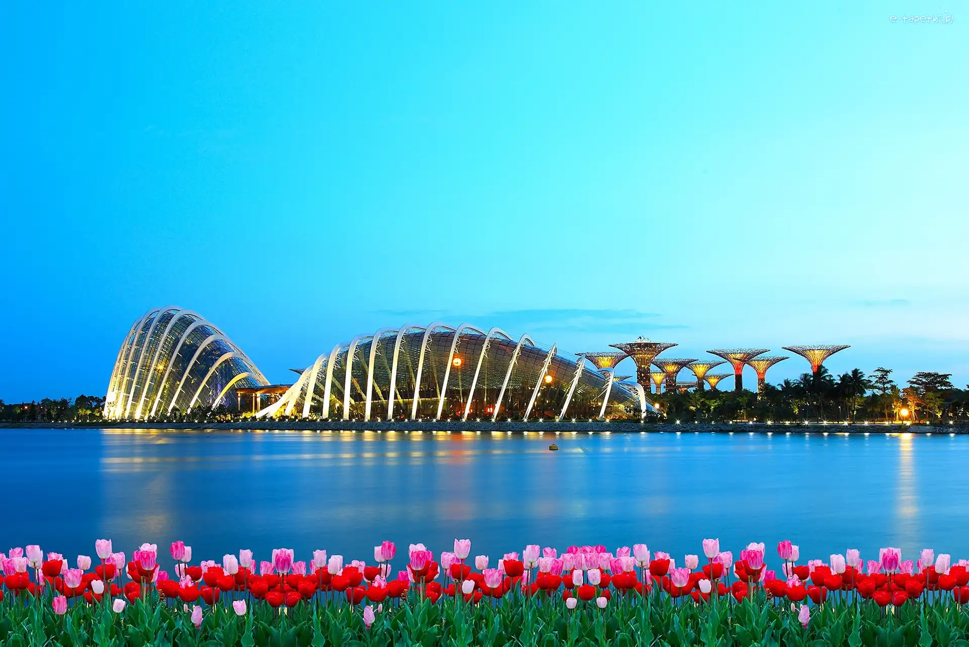 Tulipany, Budowle, Woda, Singapur