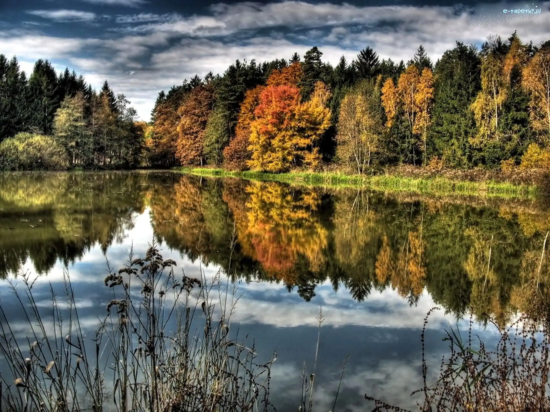 Odbicie, Las, Jezioro