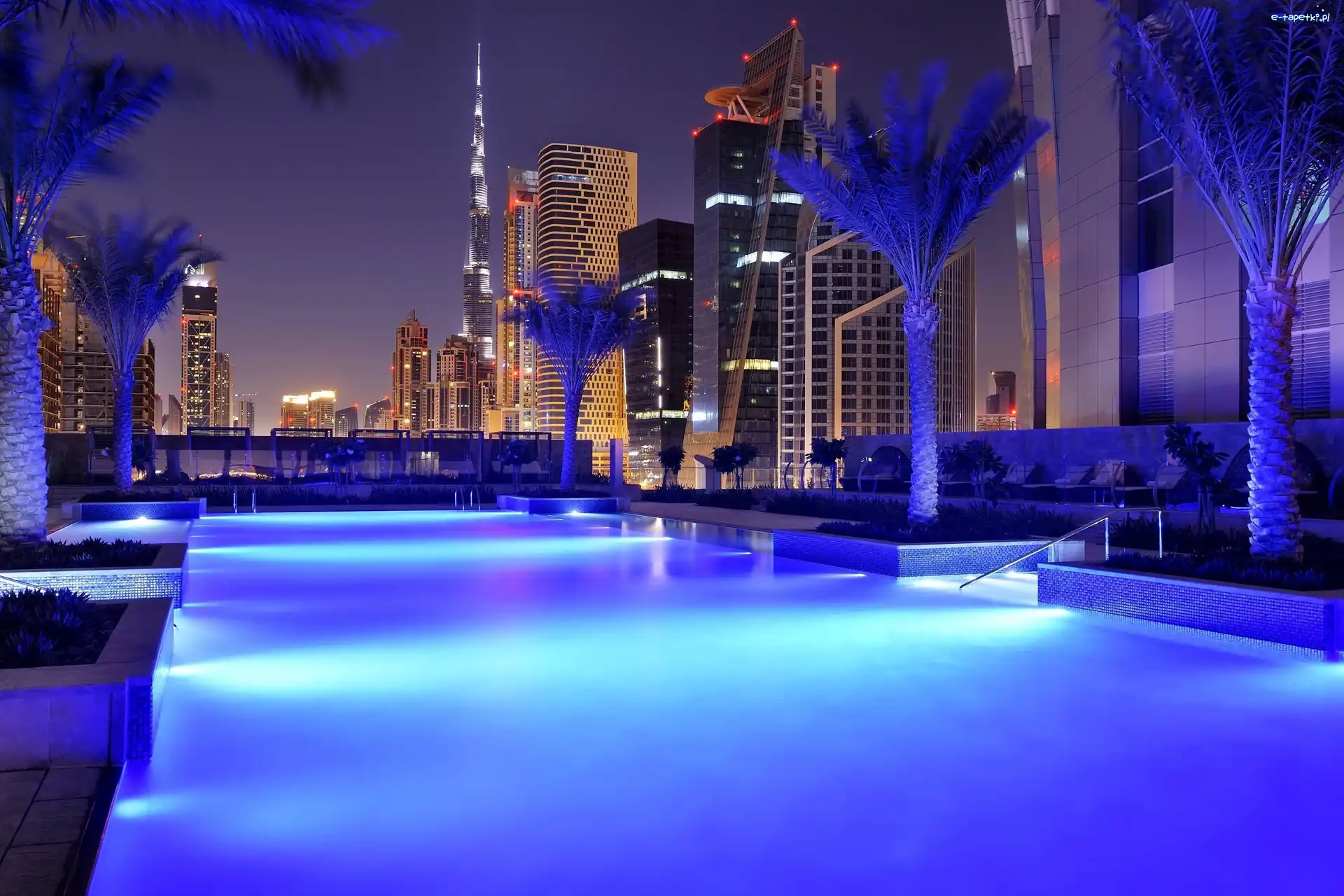 Drapacze Chmur, Palmy, Basen, Dubaj