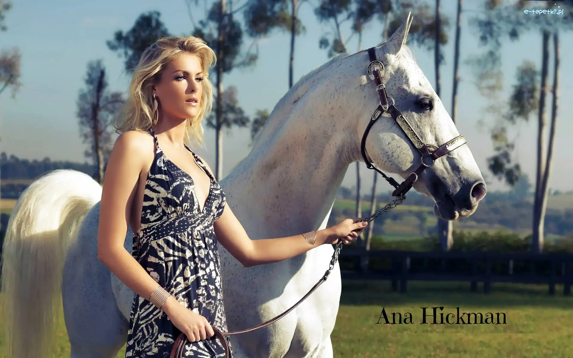 Koń, Blondynka, Ana Hickman